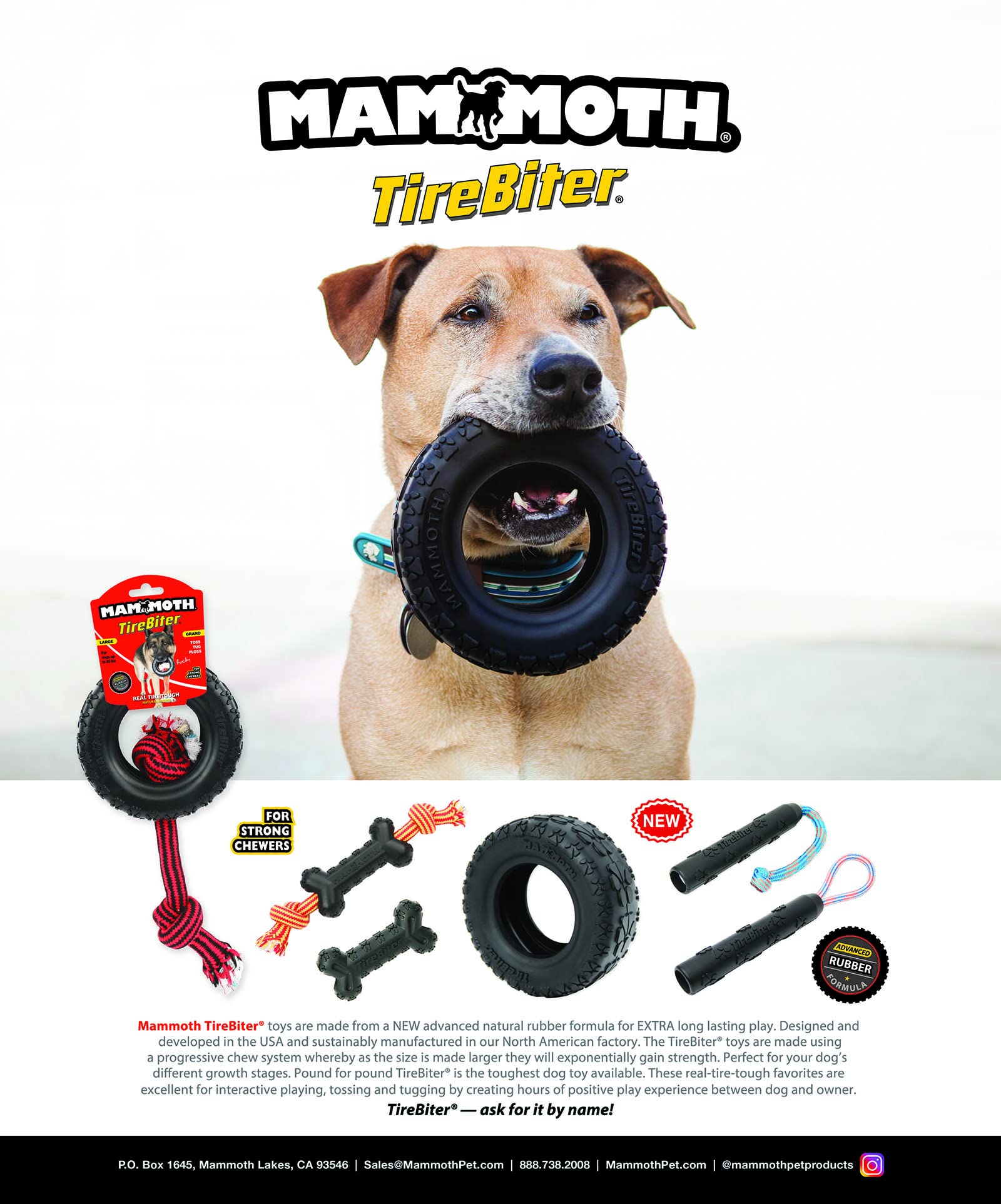 Mammoth Pet Products TireBiterII Bone with Extra Cotton-Poly Rope â€“ Natural Rubber Dog Toys for Extreme Chewers â€“ Aggressive Chewer Toys for Dogs - Large 15â€, Black (35023F)