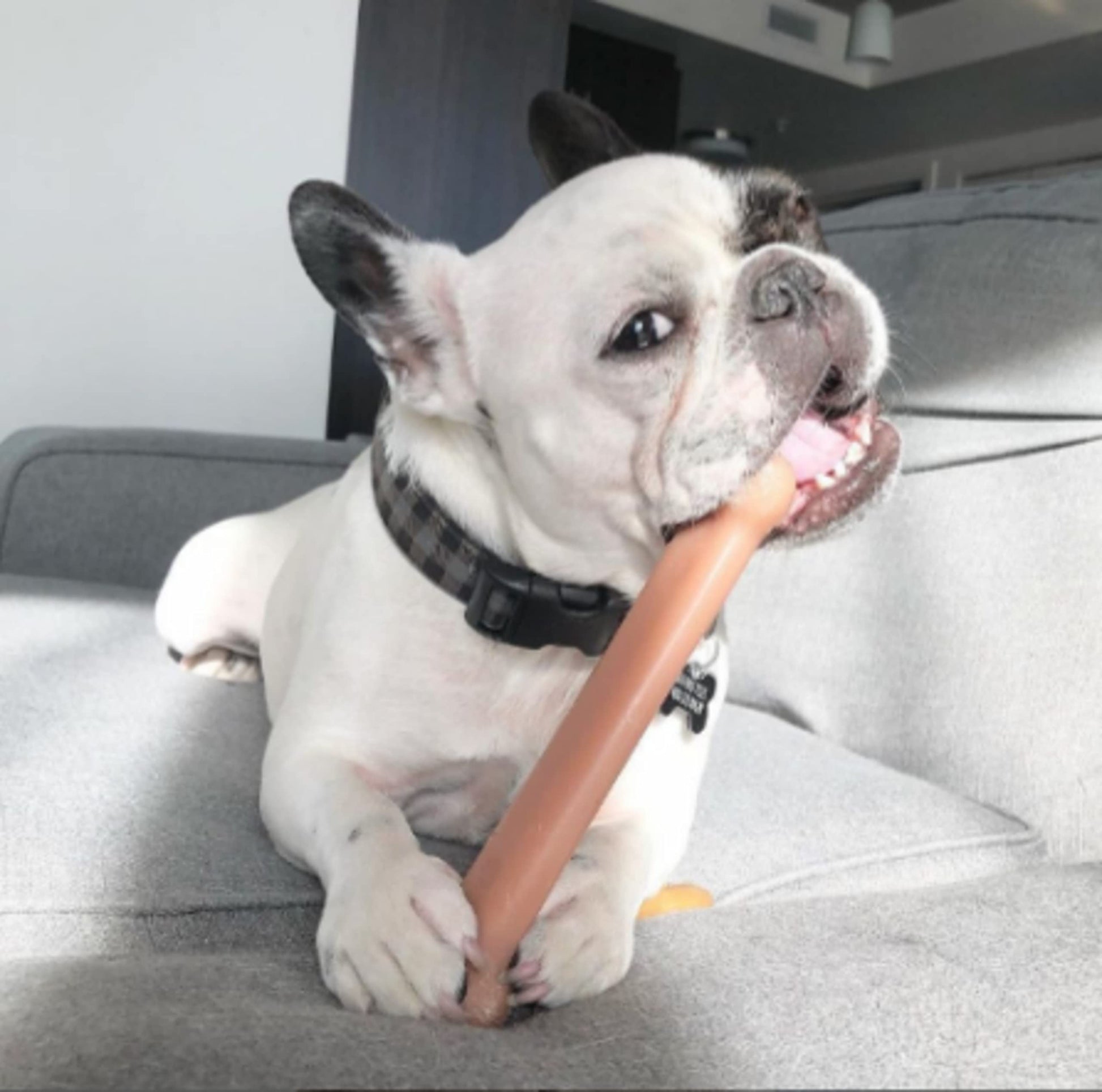 Juguete Masticable de Hueso Nylabone Sabor Bacon Grande