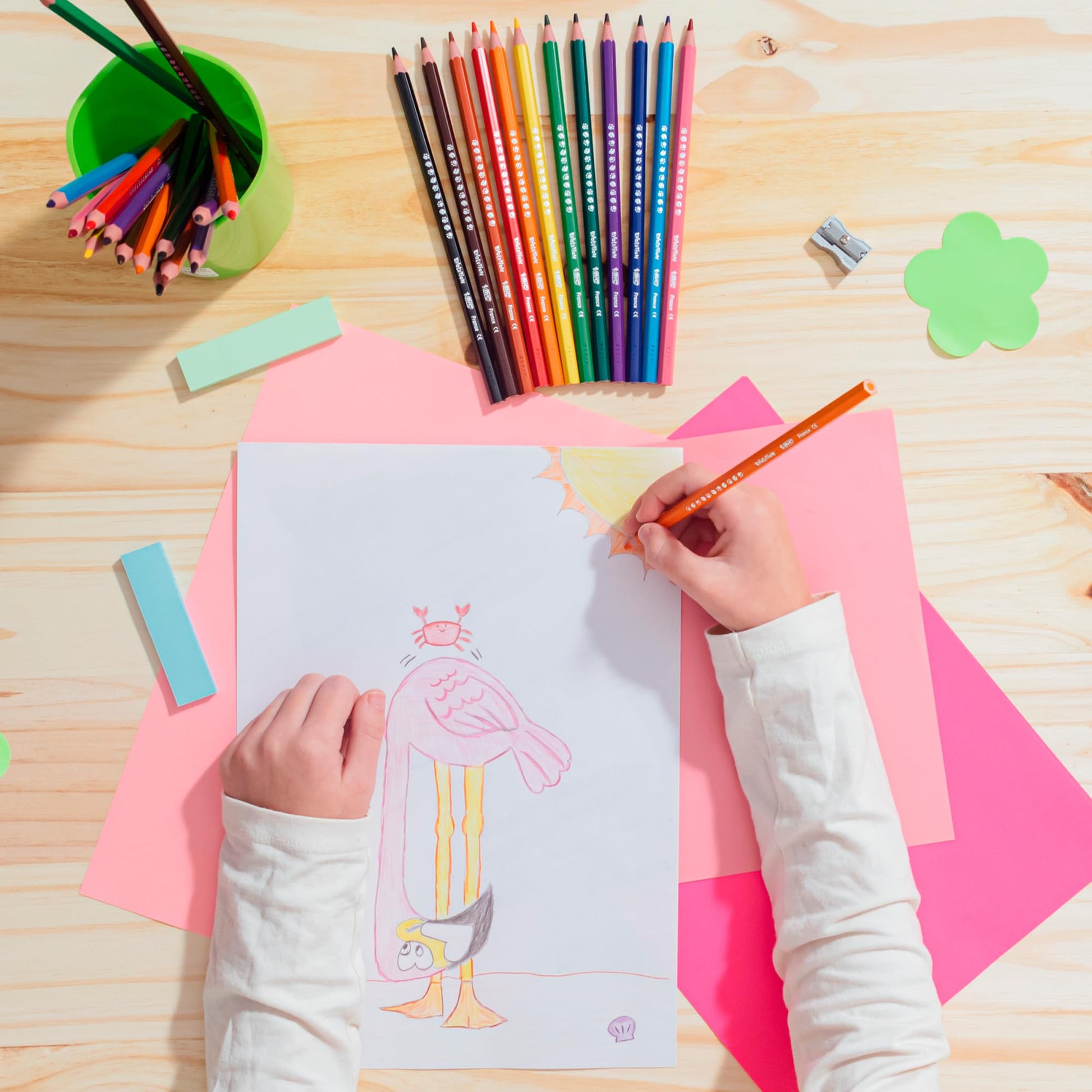 BIC, Lápices de Colores, Punta Resistente, Evolution, Surtido de Colores, 24 piezas + 2 Lápices Gratis