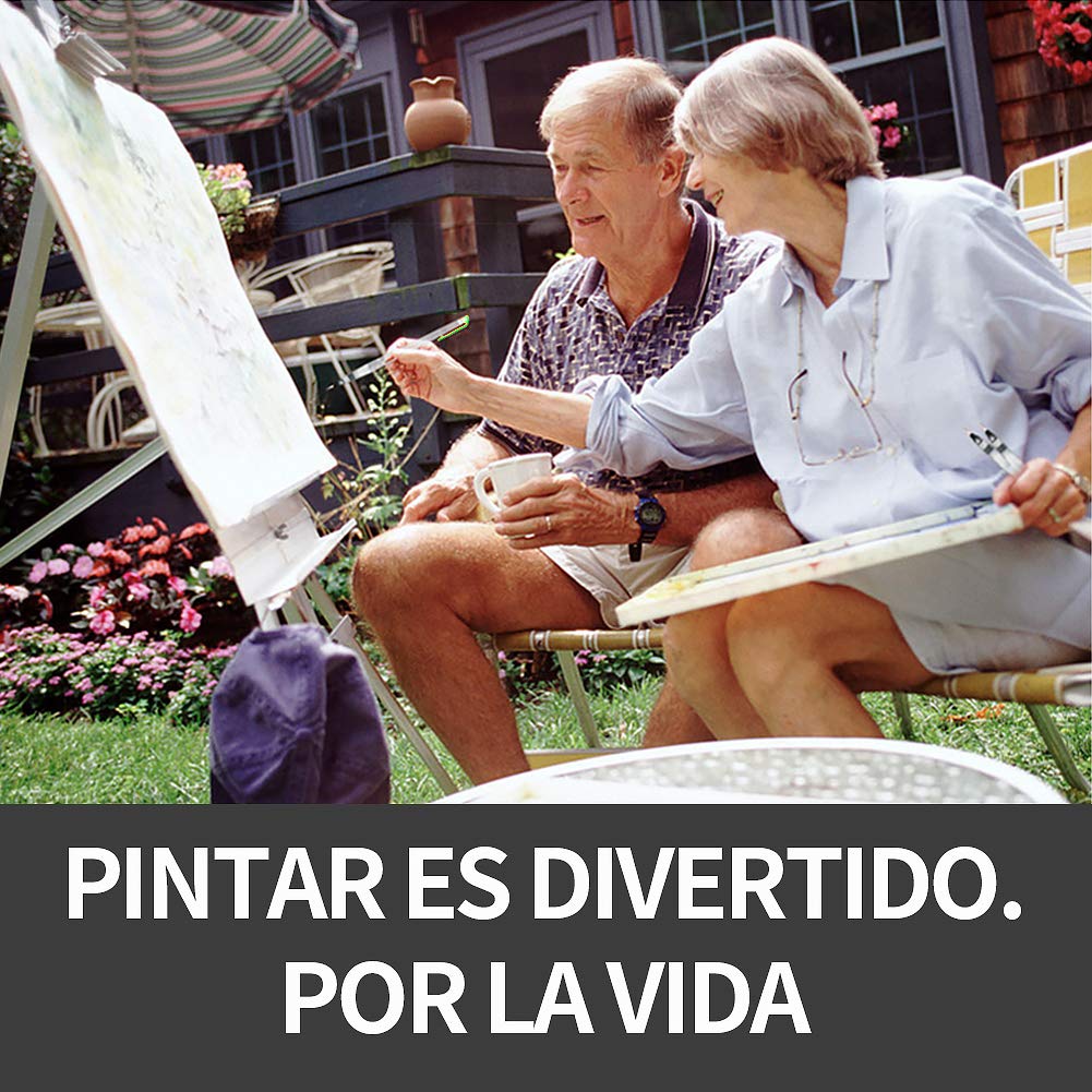 Pincel de Agua 10 Piezas Pinceles Acuarela de Pintura para Acuarela Puntas Caligrafía Arts Marcadores Surtidos Pequeño Grande de Agua Soluble Lápices Pinceles para Acuarela para Pintura de Acuarela