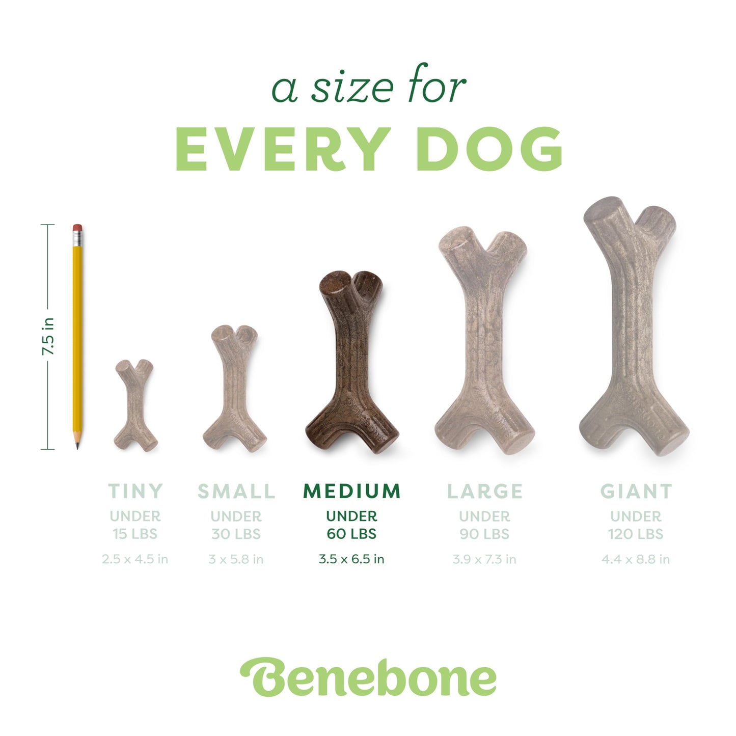 Benebone Bacon Stick Durable Dog Chew Toy for Aggressive Chewers, Real Bacon, Made in USA, Medium