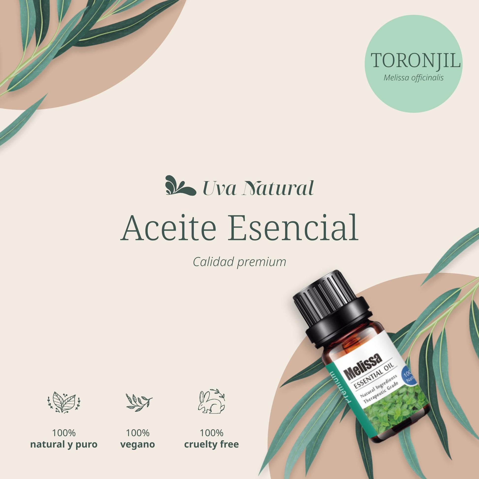 Aceites Esenciales UVA Natural Toronjil 100% Natural Aromaterapia con Caja de Regalo Exquisita