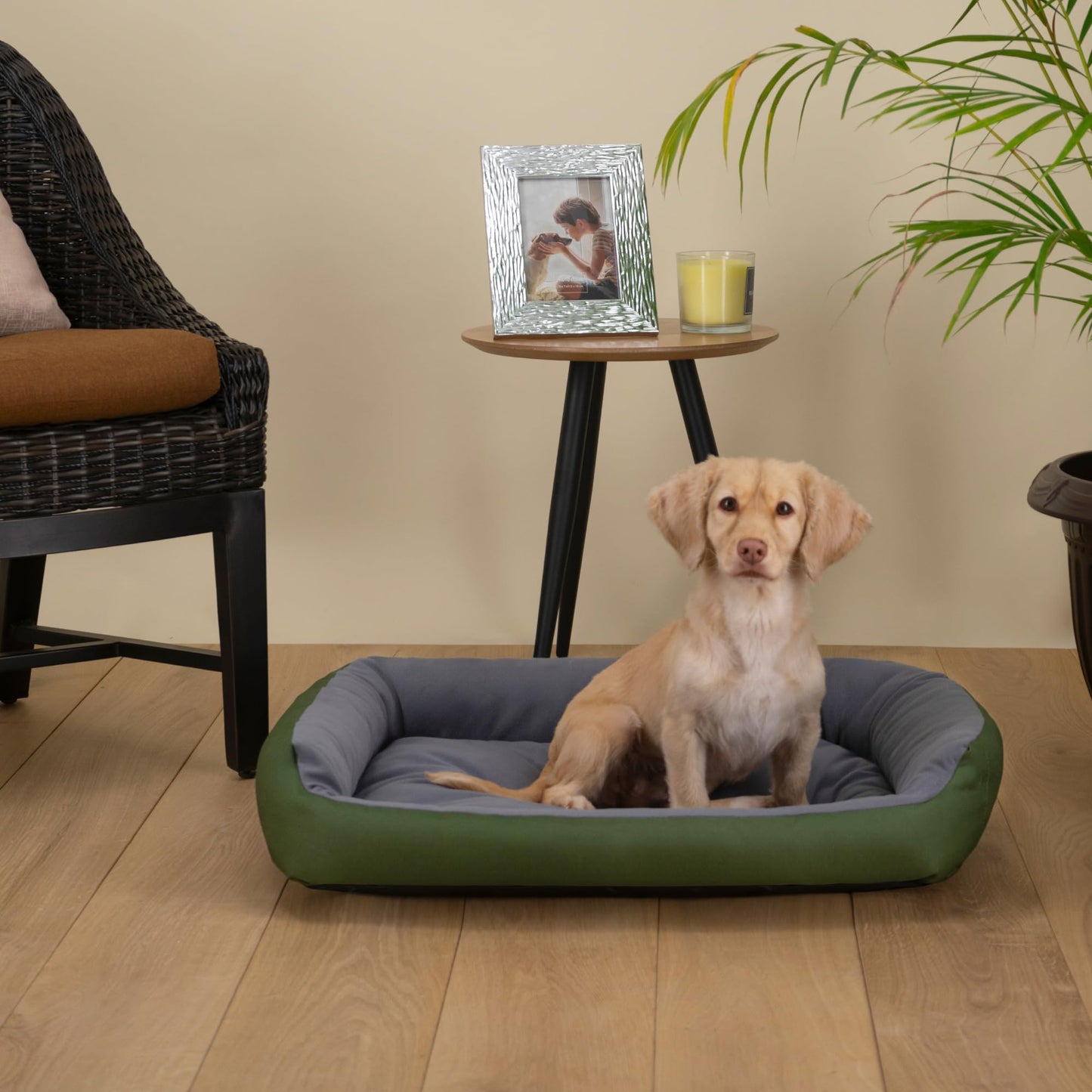 Cama para Perro Hills Verde Gris Resistente y Confortable con Relleno Suave