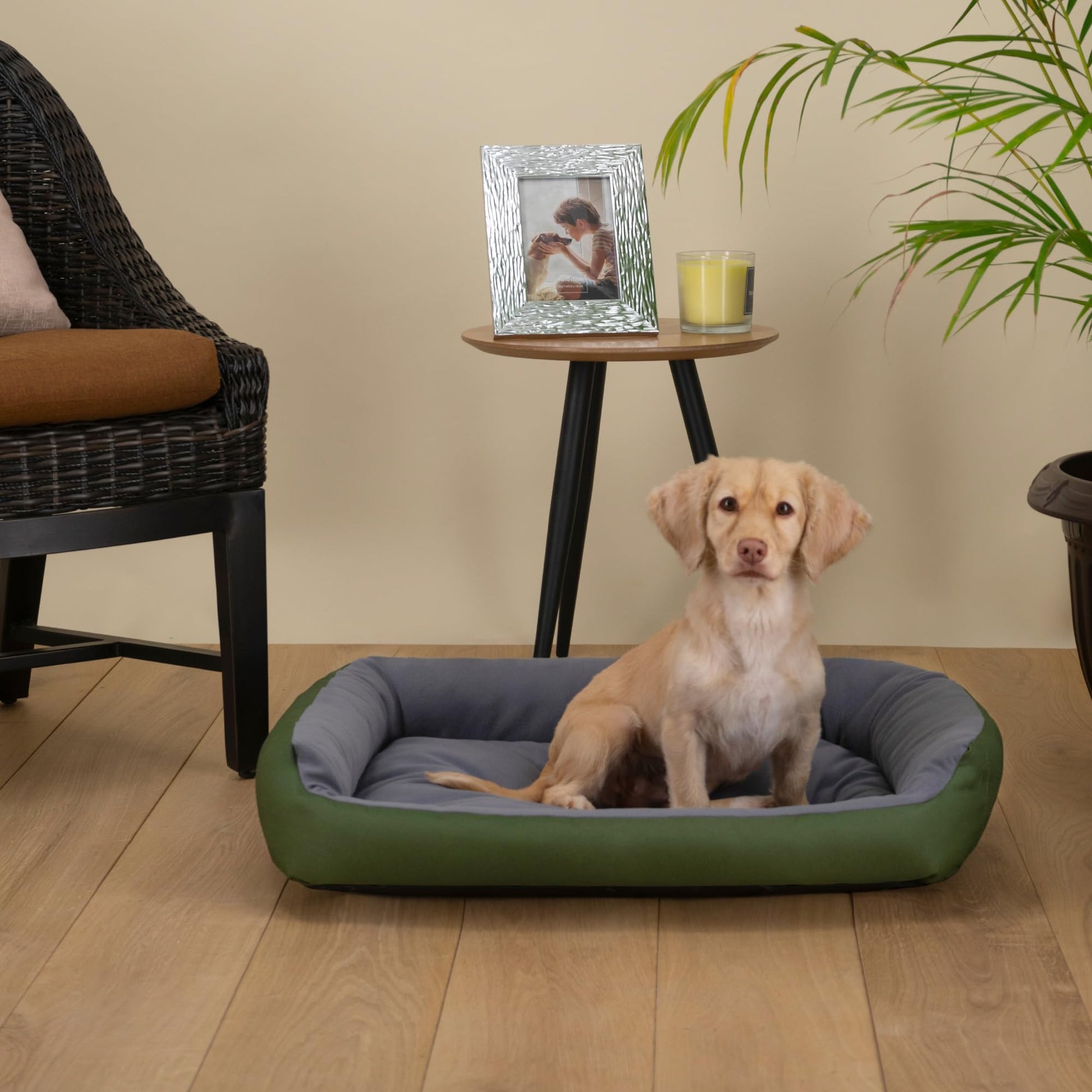 Cama para Perro Hills Verde Gris Resistente y Confortable con Relleno Suave