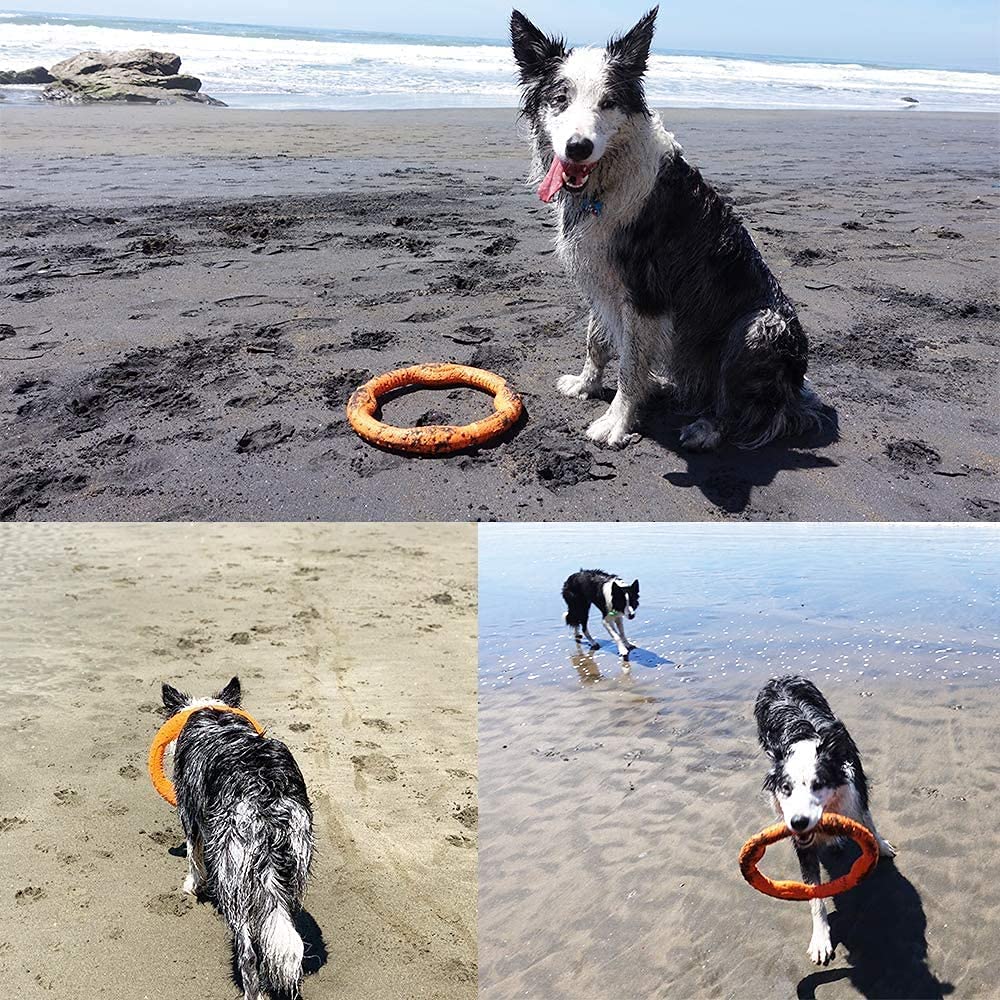 Juguetes para Perros LaRoo Naranja Flotantes para Masticadores Agresivos