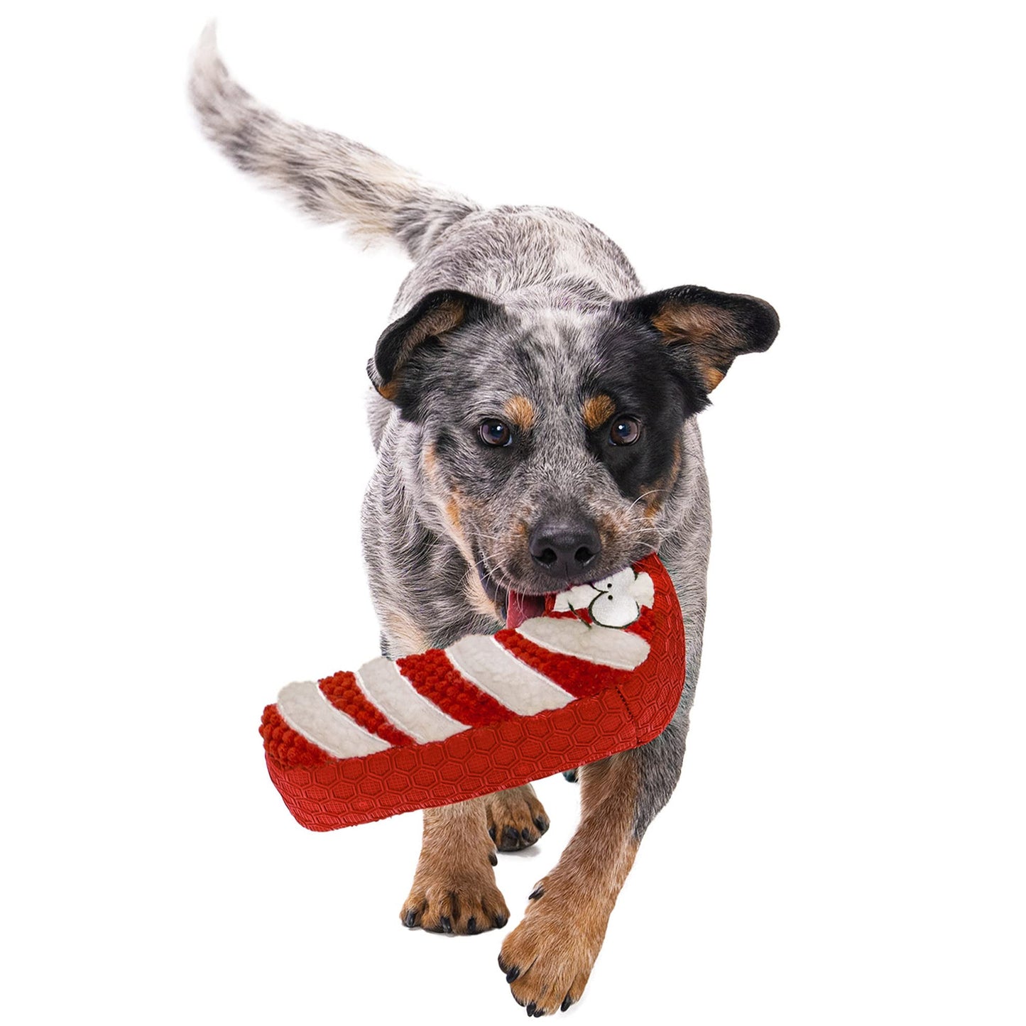goDog Holiday Collection TPE Peluche de bastón de Caramelo chirriante para Perro, tecnología de protección masticable, Rojo/Blanco, Talla única