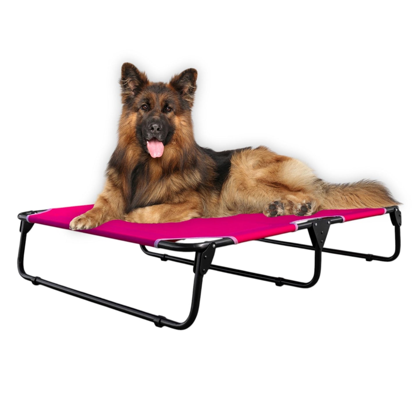 Cama Elevada PEGASO Rosa Transpirable y Lavable Extra Grande para Perro