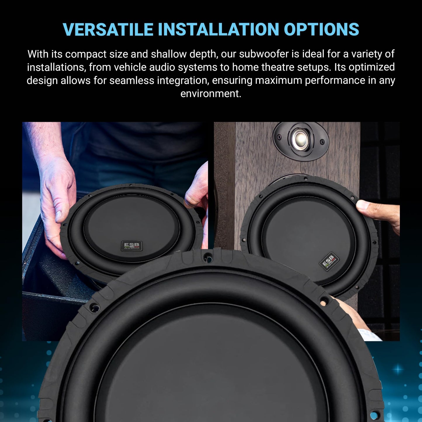 ESB Audio 10"/250 mm DVC 2+2 ohm Subwoofer