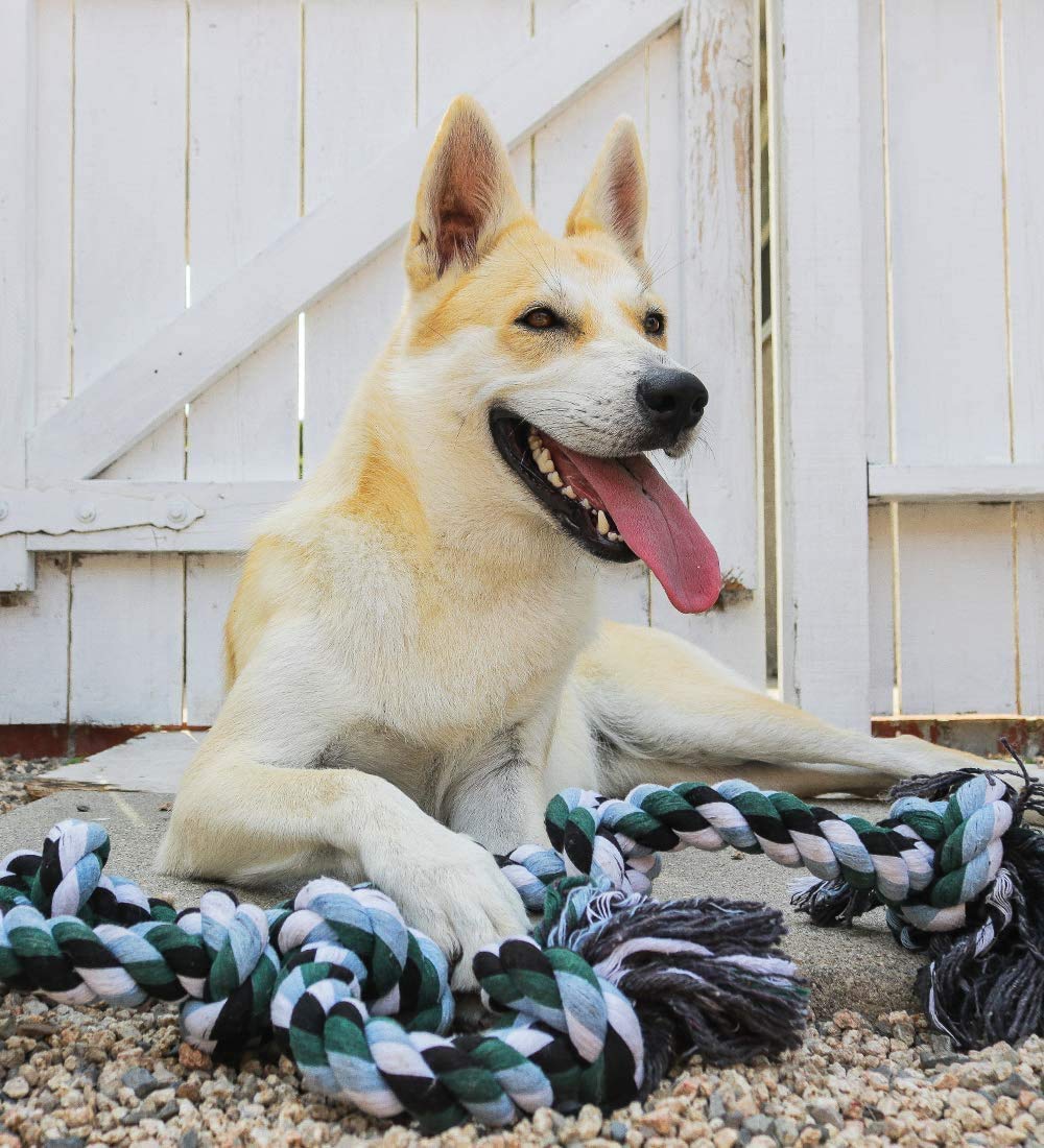 Juguete de cuerda gigante XXG para perros extragrandes, 107 cm de largo y 6 nudos, en beneficio de organización de rescate animal sin fines de lucro, juguete indestructible para masticadores agresivos y razas de perros grandes