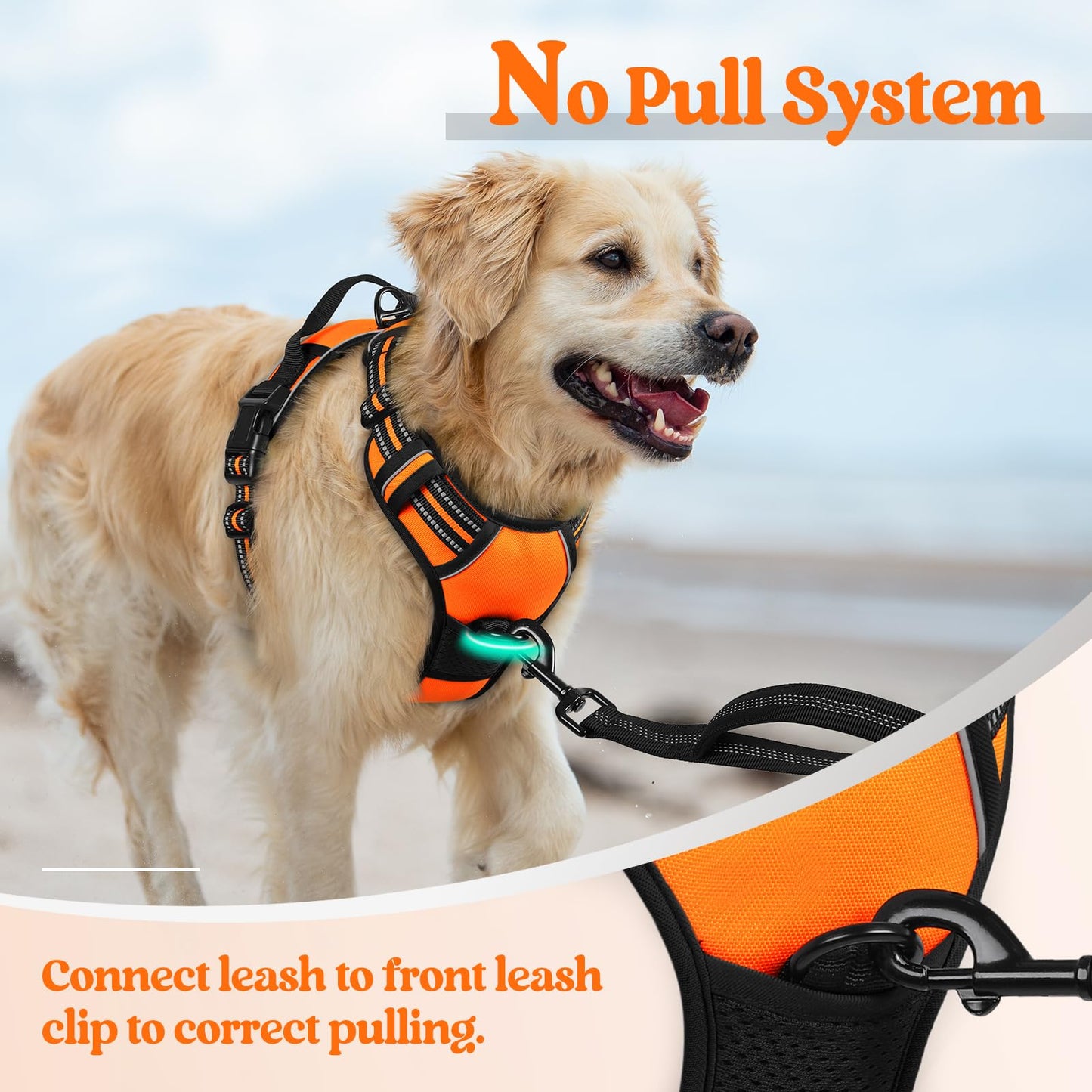 Arnés para Perro Rabbitgoo Naranja con Líneas Reflectantes y Chaleco Acolchado Ajustable para Adiestramiento y Correr Tamaño Mediano