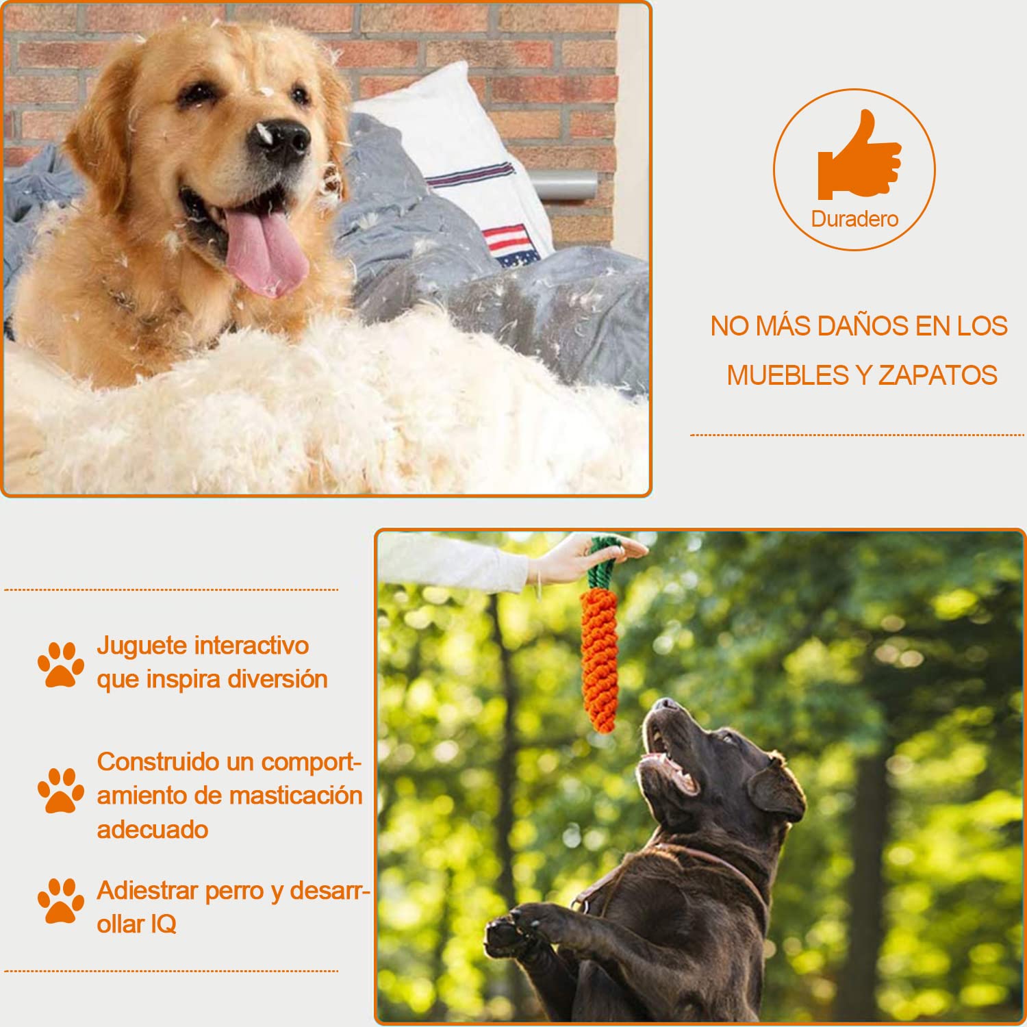 KAMYSEN Contiene 10 Juguetes, Juguete con Correa para Perros, Entrena Dientes de Cachorro para lanzar y Varios Juegos, 100% no tóxico, pequeño Juguete Interactivo para Mascotas de tamaño Mediano.