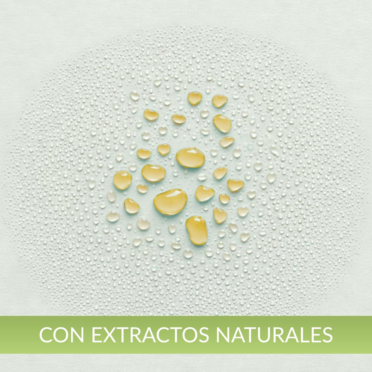 Tónico Capilar Productos Mart Mexico Cola de Caballo Crecimiento 5 Litros
