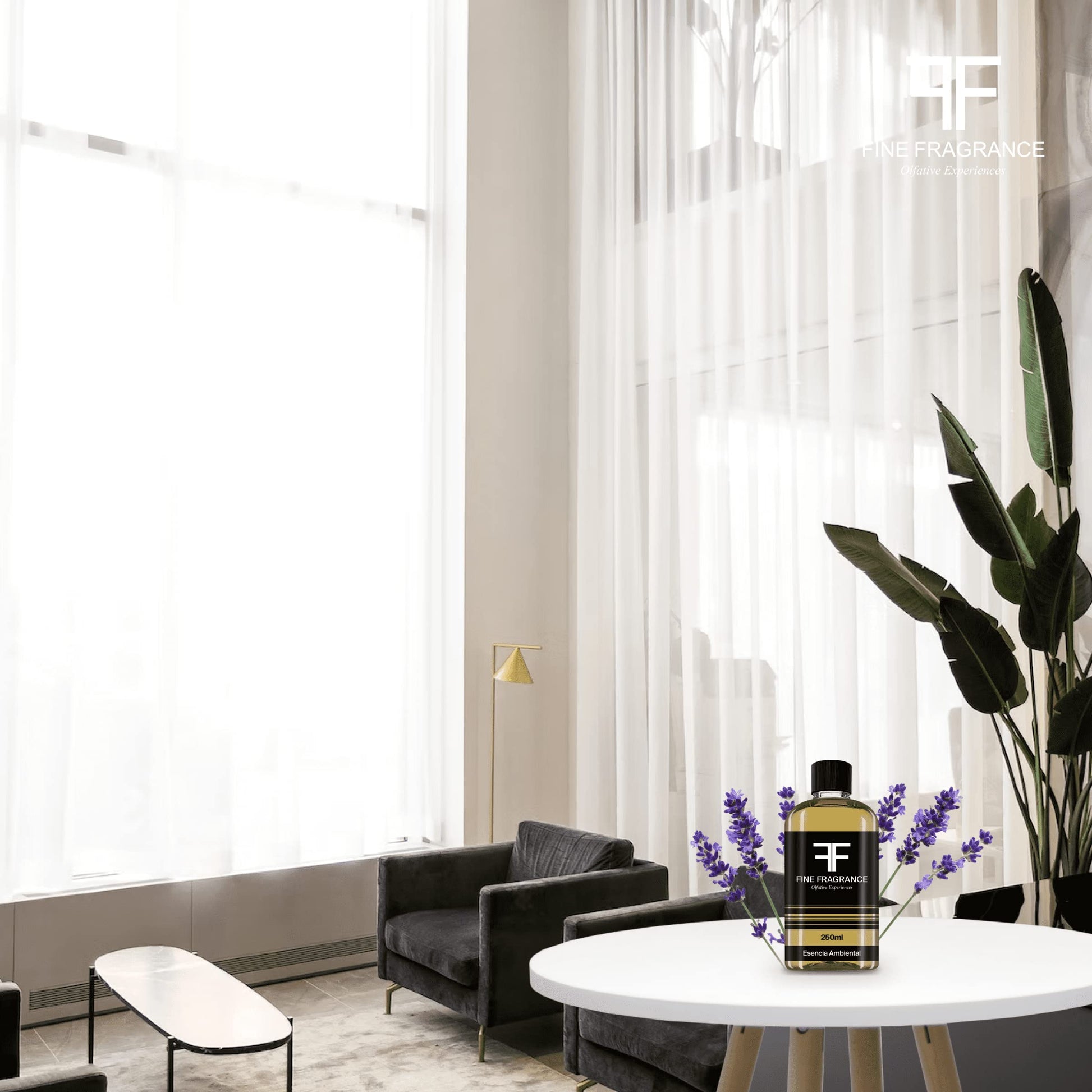 Fine Fragrance, Esencia para difusor aroma Lavanda, 250ml, ultra concentrada para uso exclusivo en difusores profesionales y aromaterapia