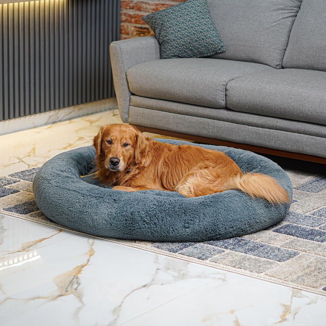 Furbedz Cama para Perro Extragrande, diseño antiestrés, Cama Lavable con Funda extraíble intercambeable, Felpa ultrasuave, Forro Interno, Soporte ortopédico Memory Foam, Base Impermeable