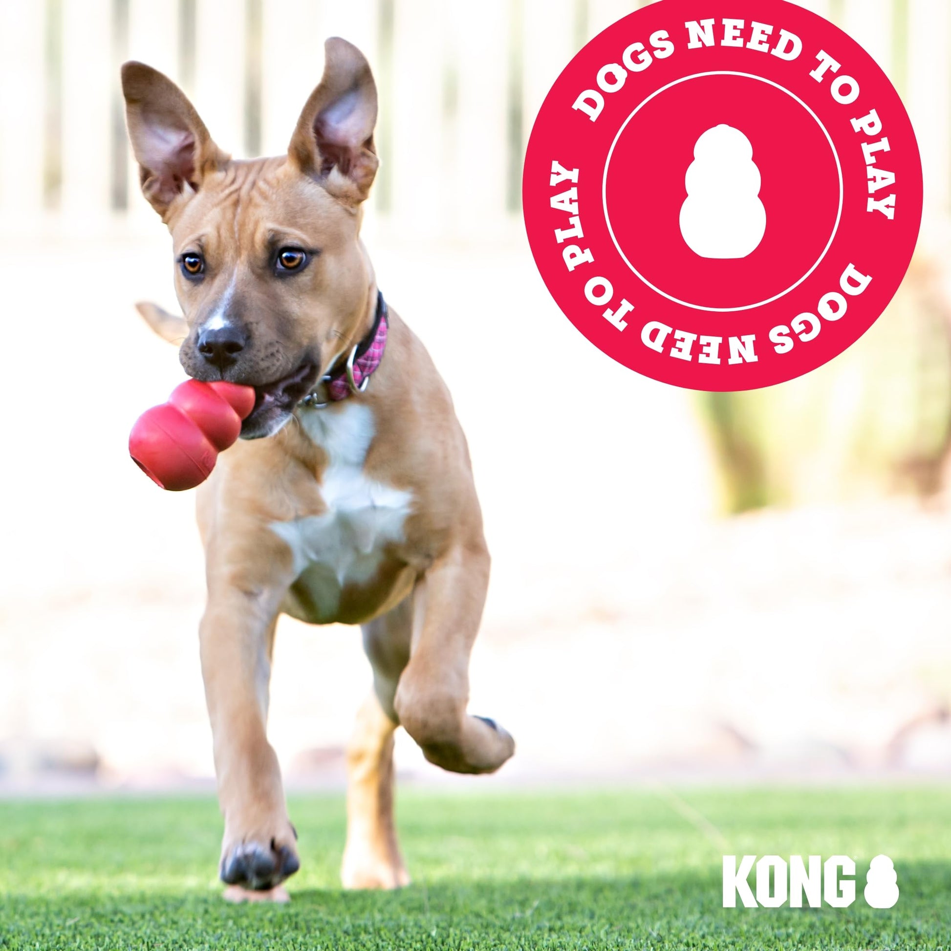 Kong Juguete para Cachorros, extra pequeño (El Color puede Variar)