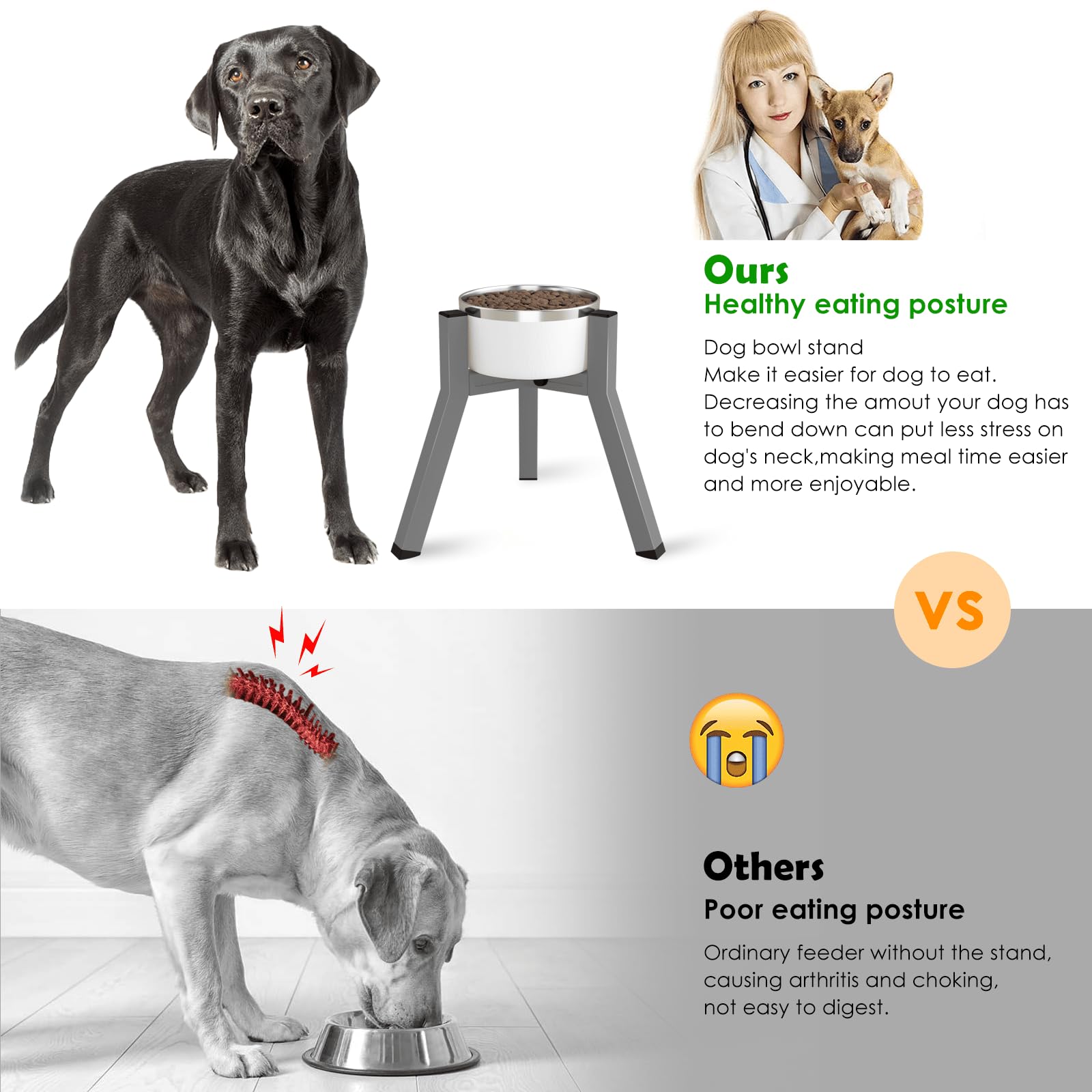 Soporte Elevado para Cuencos para Perros Medianos y Grandes TIDANT Ancho Ajustable