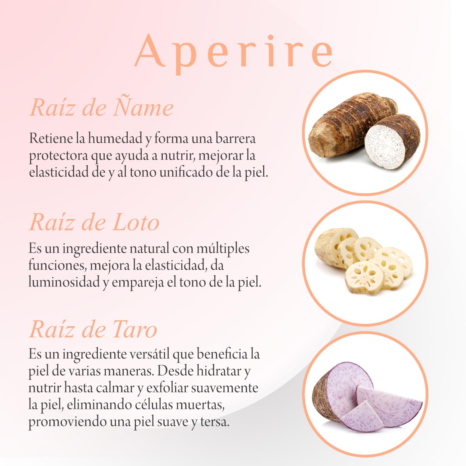 Serum Coreano Super Origin Rebirth Root Aperire 30ml | Hidratación y Calma para Piel Sensible | Centella Asiática | Root Cureplex con 5 Raíces | Skin Care Coreano K-Beauty