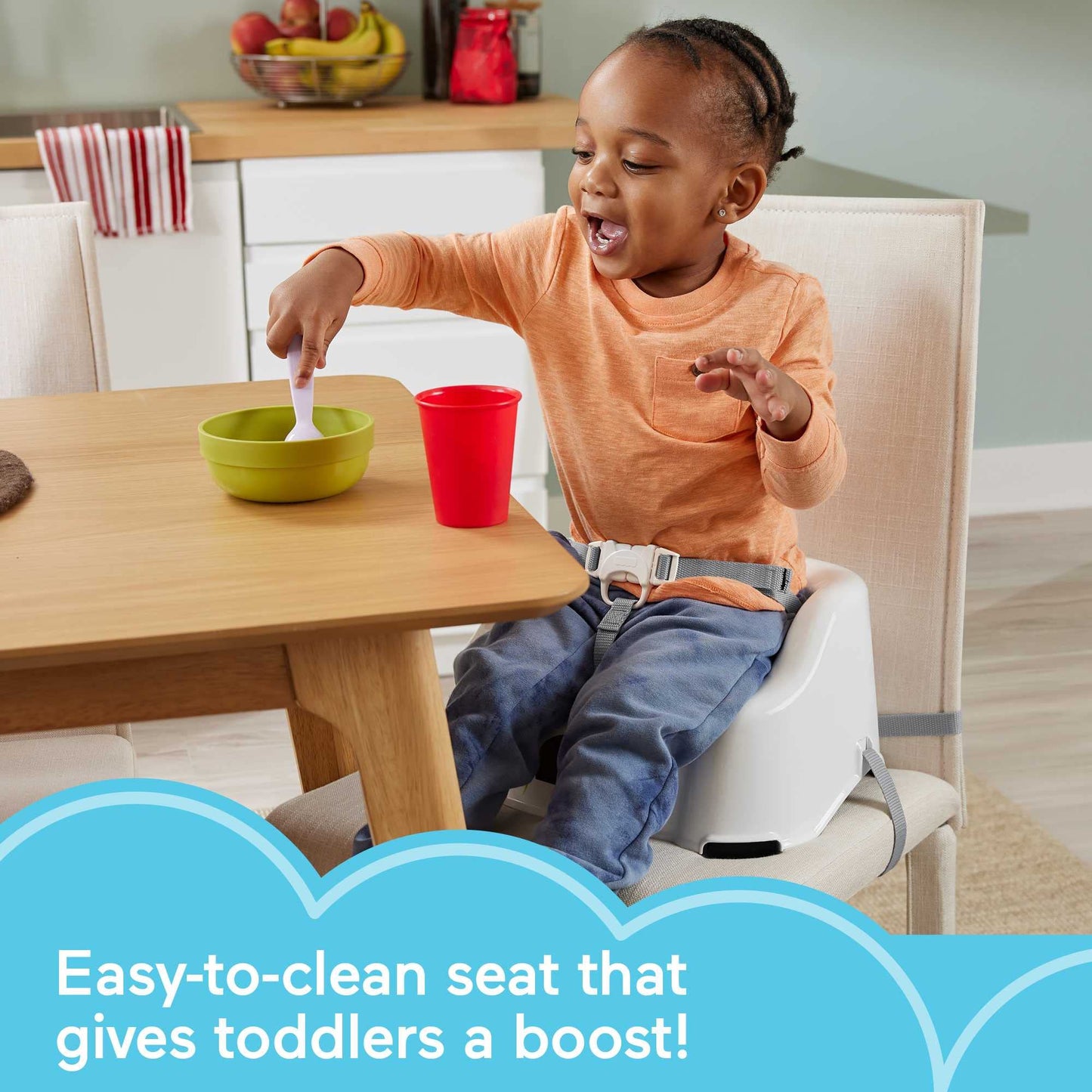 FISHER-PRICE BABY, Fisher-Price Simple Clean & Comfort Booster