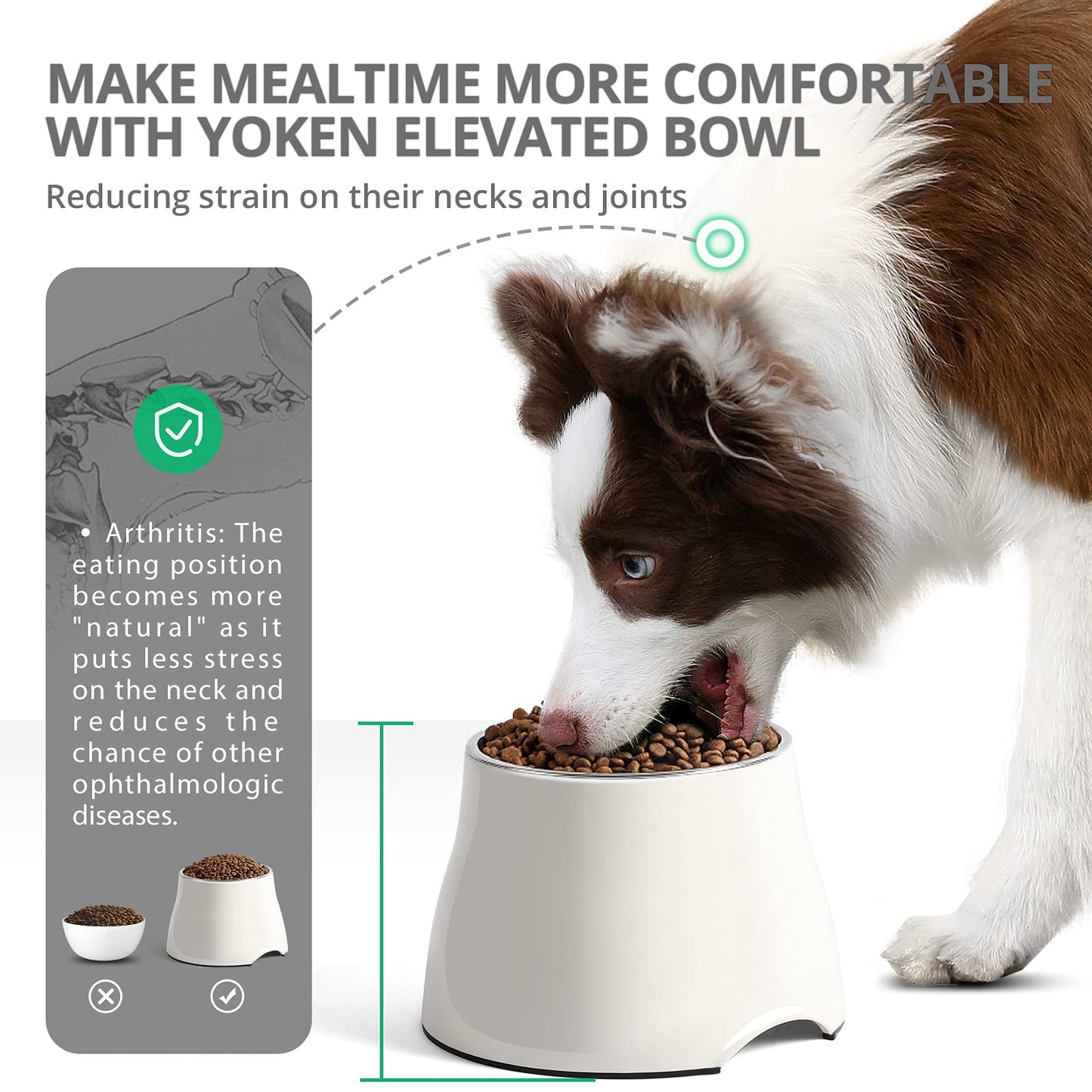 Comedero Elevado Yoken Acero Inoxidable Colorido Antideslizante para Perros Medianos/Pequeños