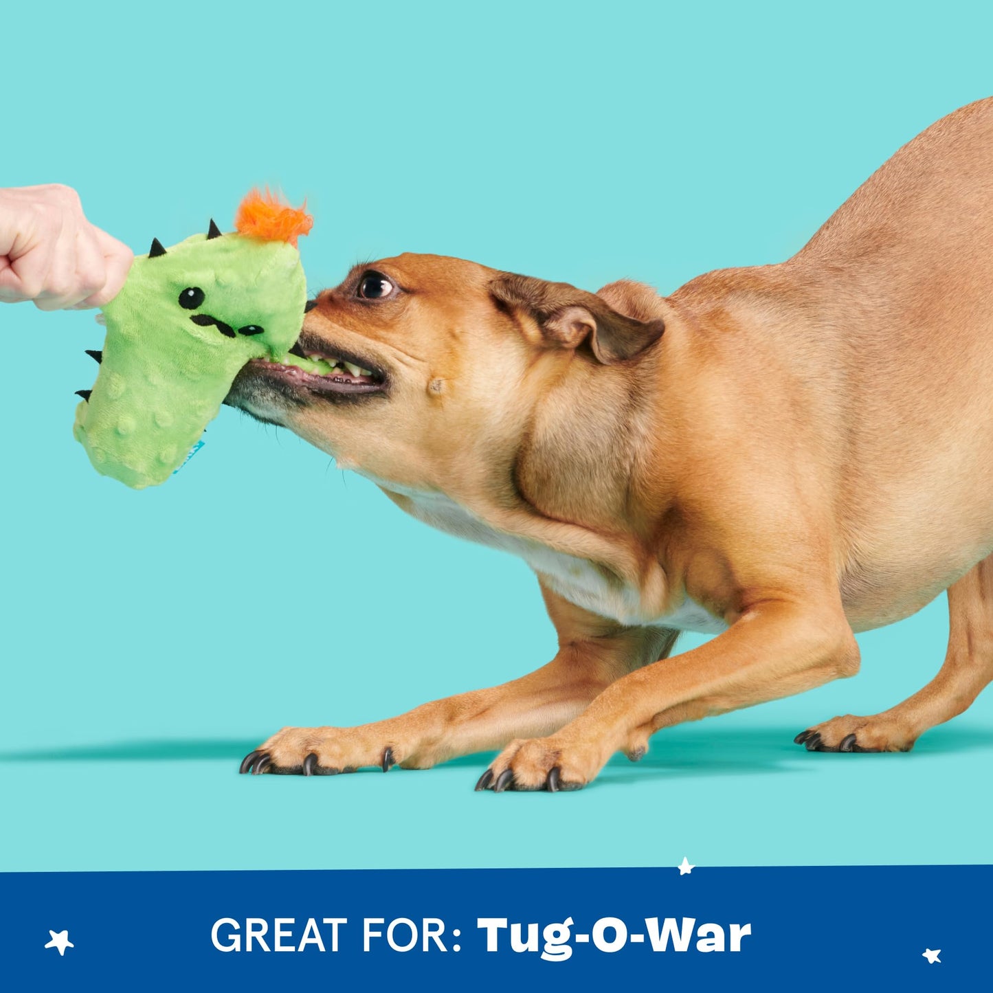 Barkbox BARK Prickly Pete Rip & Reveal Juguete masticable para perros y cachorros, pequeño