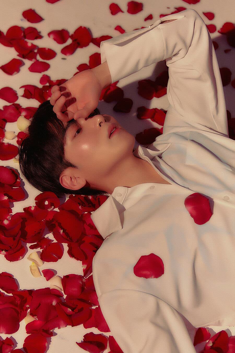 Álbum Mini 3ra Edición Super Junior Ryeowook Rose Petal Prickle Set