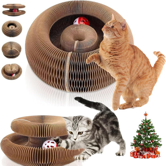 Magic Organ Tabla Rascadora para Gatos - 2 PCS Rascador para Gatos, Tabla Rascadora Plegable para Gatos, Tabla Rascadora para Gatos, con Pelota Juguete, Jugete para Gatos Rascadores Interactivos