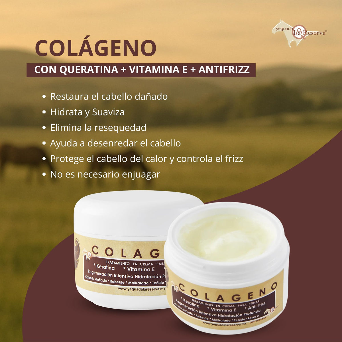 Shampoo Yeguada La Reserva Negro con Colágeno y Vitamina E para Hidratación y Fortalecimiento del Cabello Anticaída Unisex Adultos