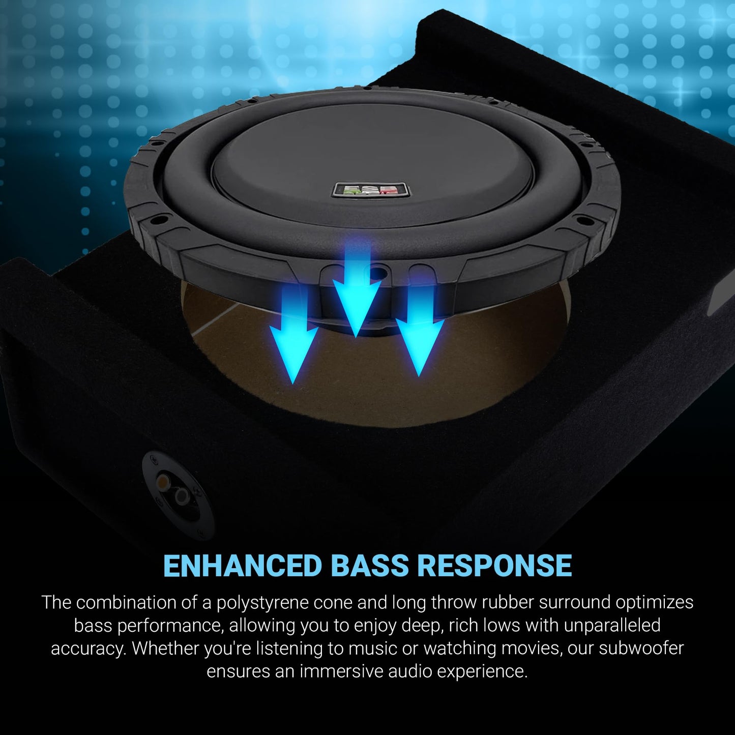 ESB Audio 10"/250 mm DVC 2+2 ohm Subwoofer