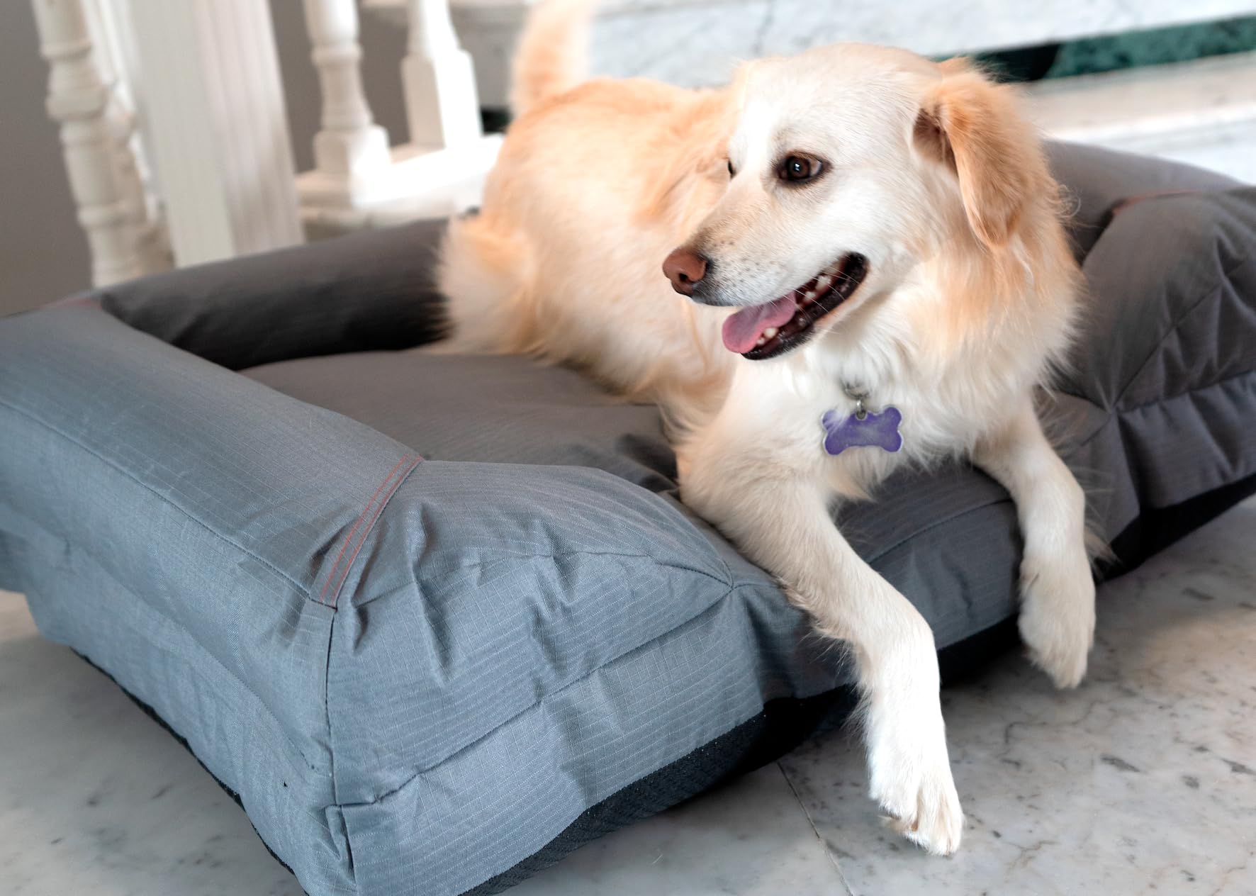 Cama para Perro Grande OGAGU Gris Resistente y Transpirable para Exterior