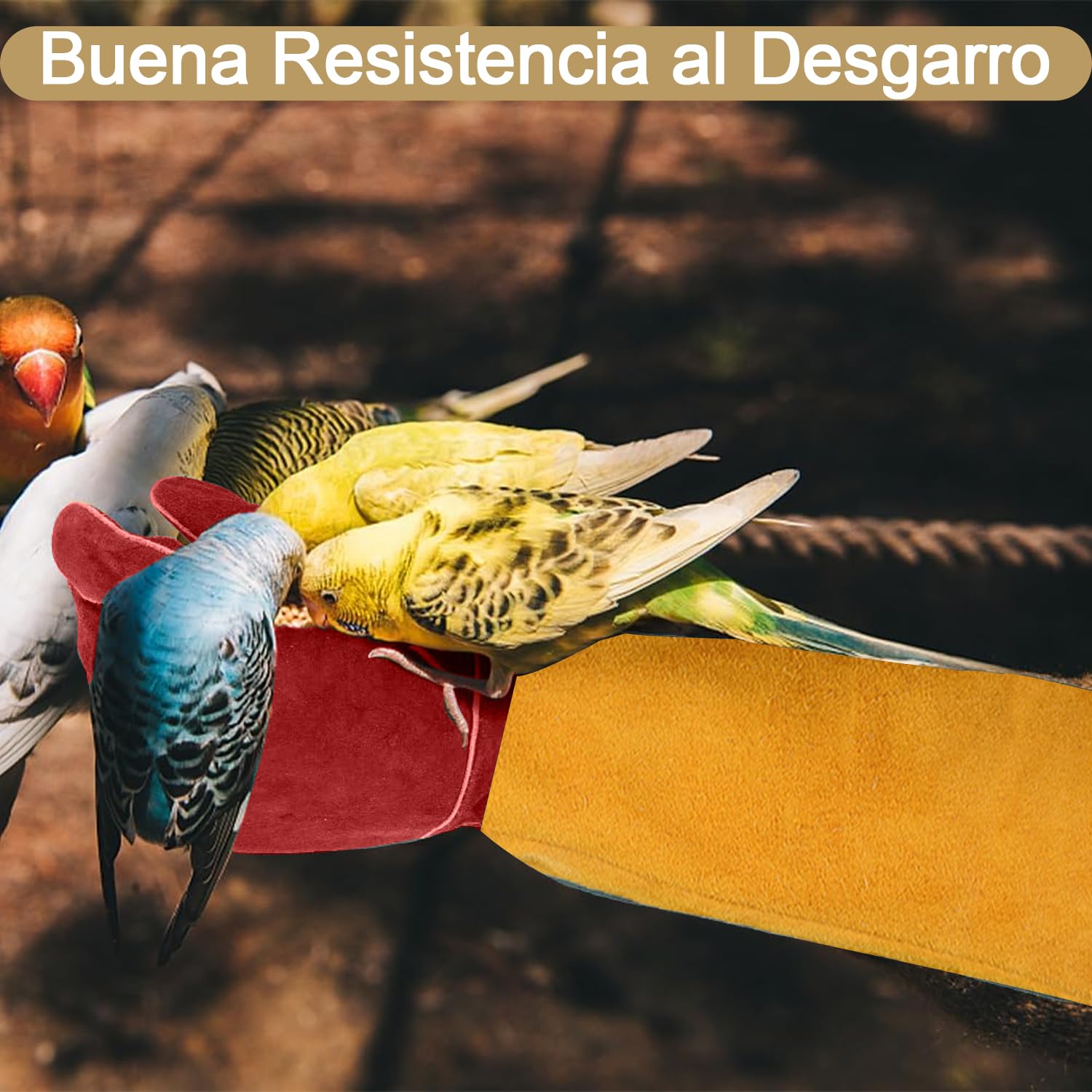 Guantes Largos Anti-mordeduras Arañazos de Animal 60cm, Guantes Protector de Agarre Manipulación de Animal, Guantes de Manejo Cuero Duraderos para Perro Gato Pájaro Serpiente Lagarto Reptile