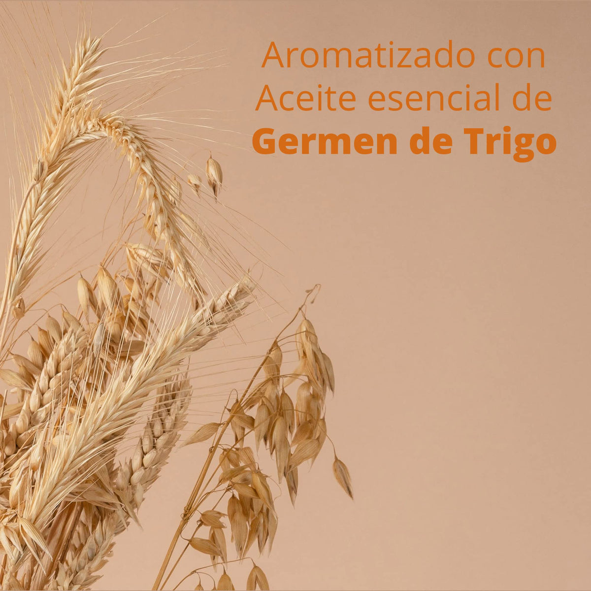 HAND SOAP 20 Lts | Jabón Líquido de Manos Biodegradable Sin Parabenos Fosfatos y Colorantes Jabón Grado Cosmético con Emolientes y humectantes con Aceite Esencial de Germen de Trigo