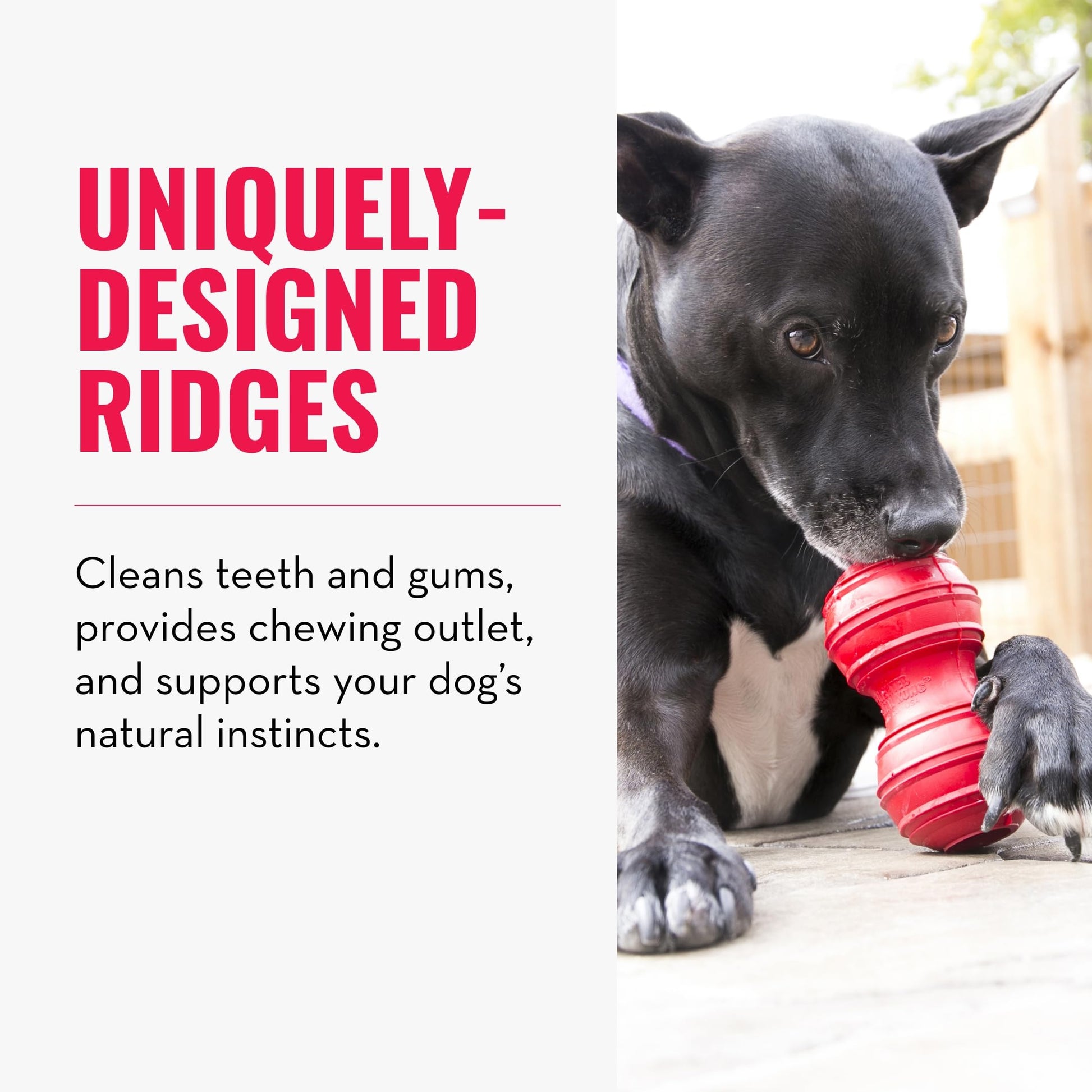Kong Dental Juguete para los Dientes del Perro, Extragrande, Rojo