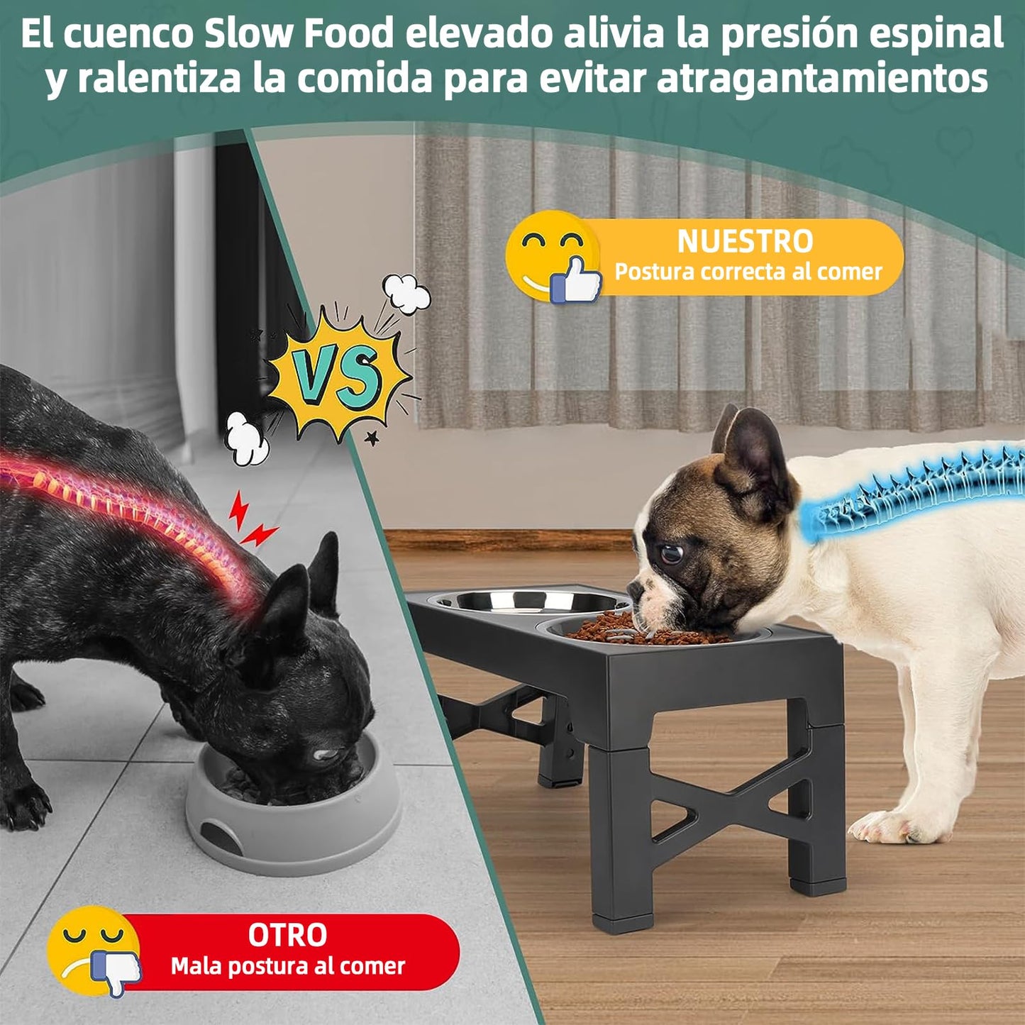 Cuencos Elevados EKEJLI Negro Ajustables para Perros y Gatos de Tamaño Mediano y Grande