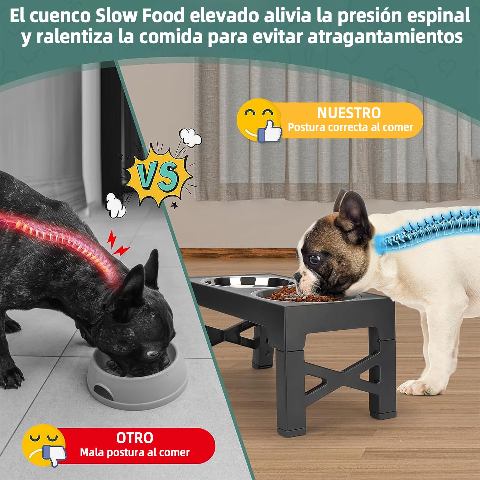 Cuencos Elevados EKEJLI Negro Ajustables para Perros y Gatos de Tamaño Mediano y Grande