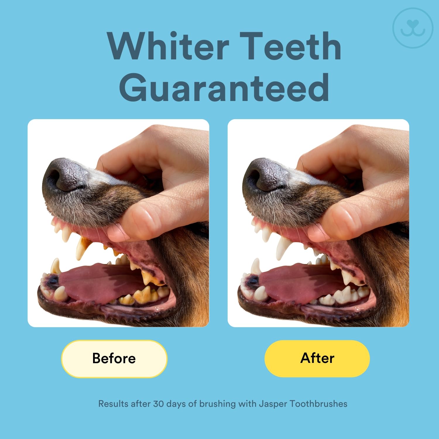 Cepillo de Dientes para Perros Toofers 360º Multicolor Diseño Ergonómico Juego de 4 Unidades