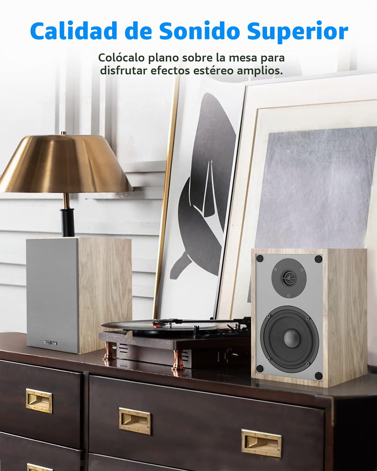 Altavoces Bluetooth BESTISAN Madera 50 W para Audio en el Hogar