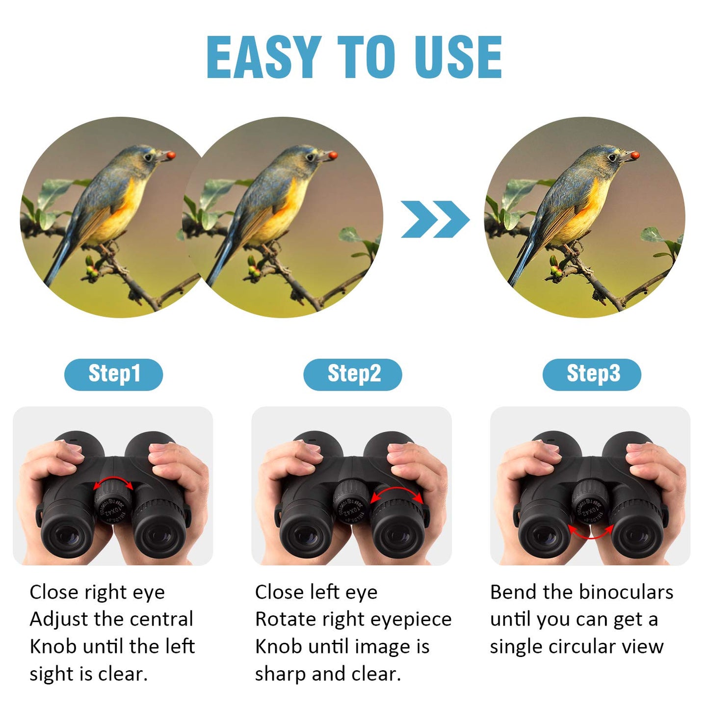 Binoteck - Prismáticos para adultos de 10 x 42 pulgadas - Prismáticos profesionales de alta definición para la observación de aves, caza, viajes, deportes, crucero, concierto, con bolsa de transporte