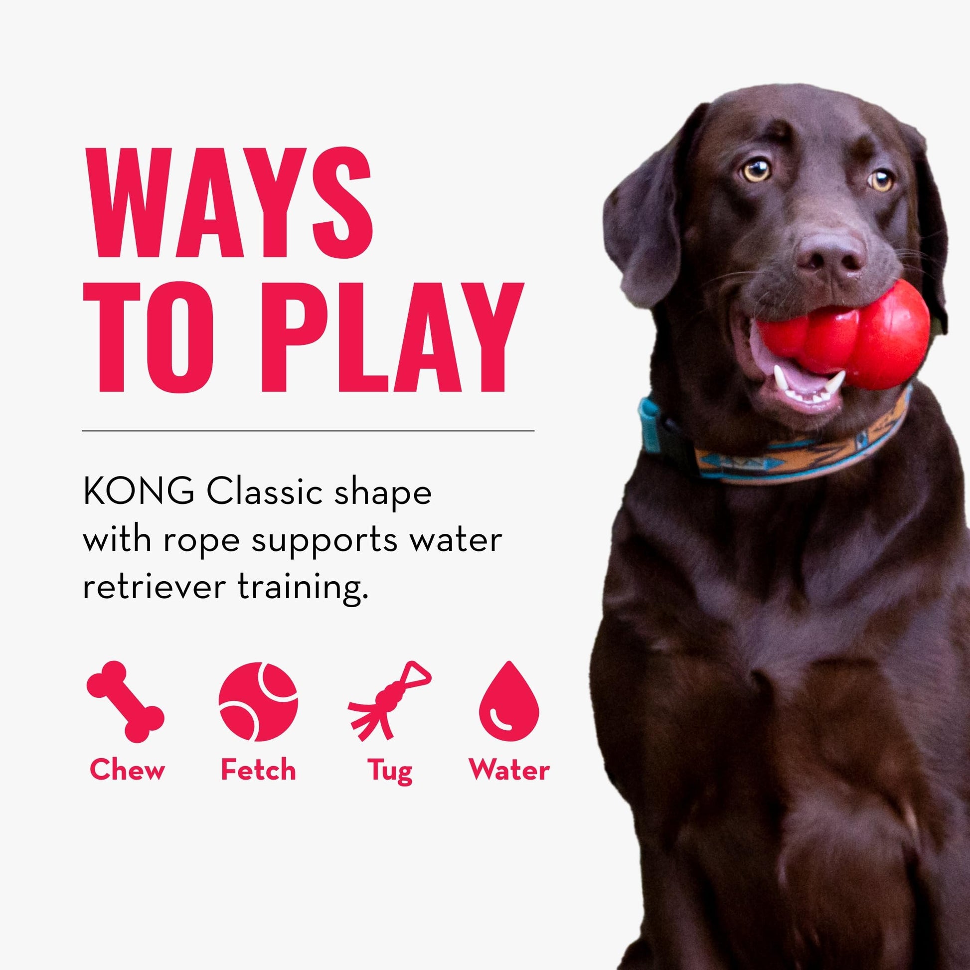 Kong Interactive Aqua Toy, Color Naranja, Mediano