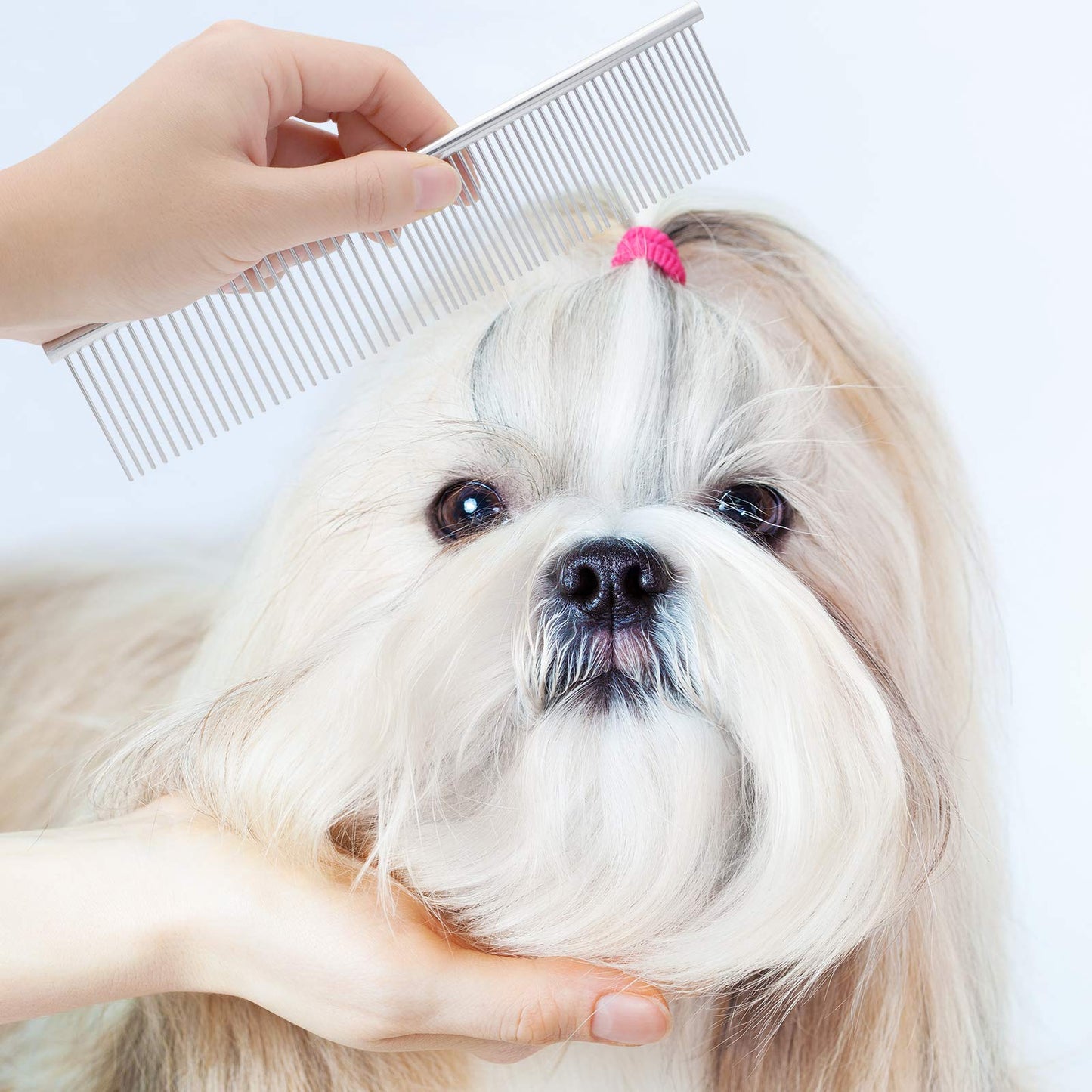 GUBCUB Peine de aseo para mascotas para perros pequeños, cachorros, peine quitamanchas 2 en 1 con dientes redondos para quitar nudos y moco