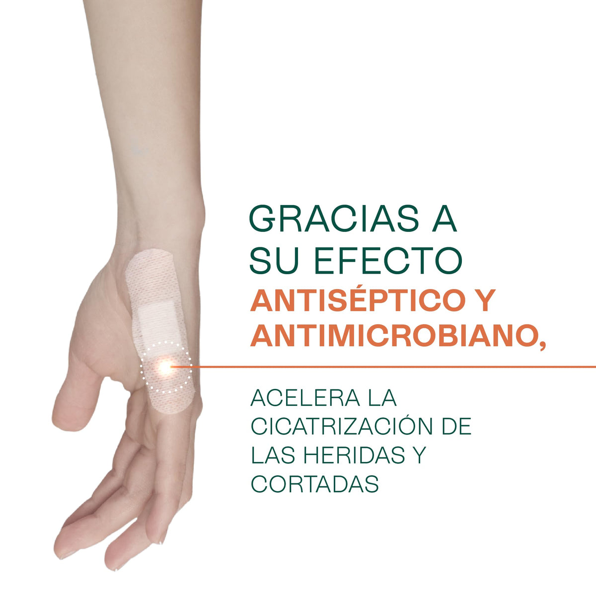 HEBBE Aceite de Caléndula 120 ml | Calma Post Exposición Solar | Prensado En Frío Uso Cosmético | Ideal Para Piel Sensible