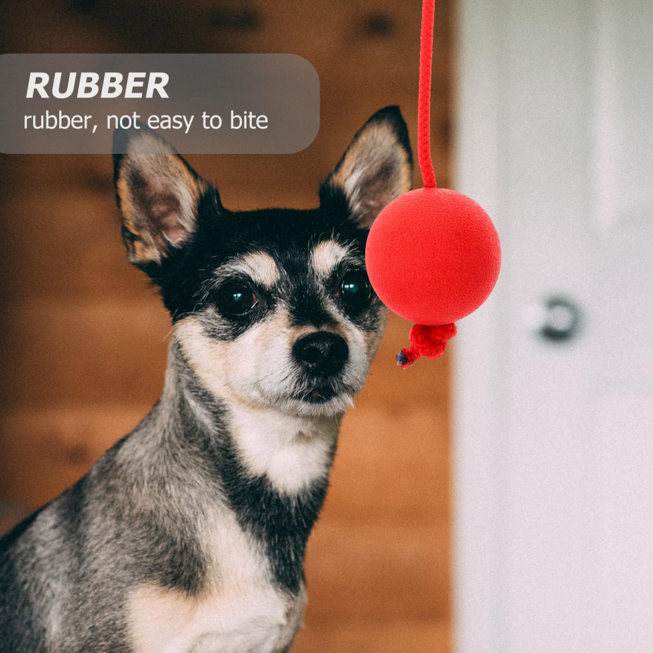 Ipetboom Cuerda y Bolas para Perros - Equipo De Entrenamiento De Agilidad, Tira y Afloja, Deportes y Pelota De Entrenamiento