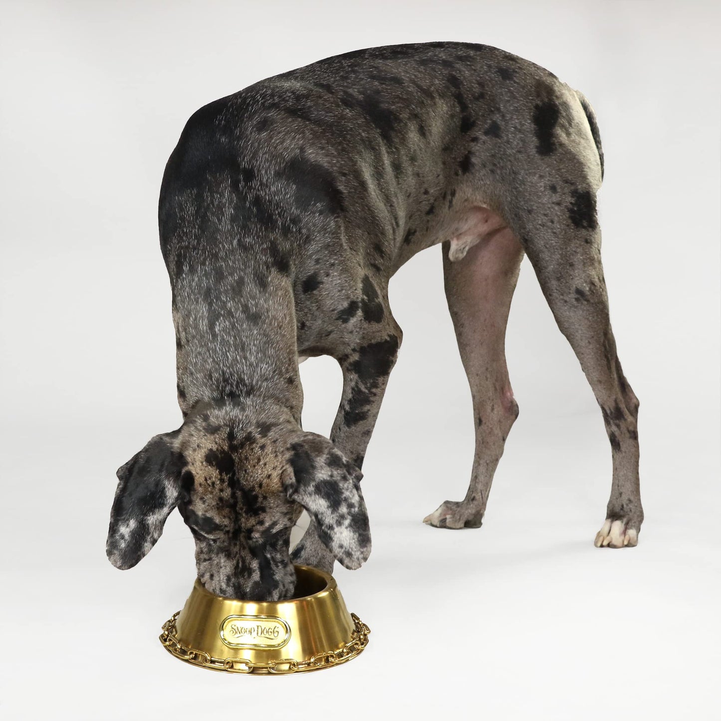 Tazón Pequeño para Mascotas Snoop Doggie Doggs Dorado Deluxe