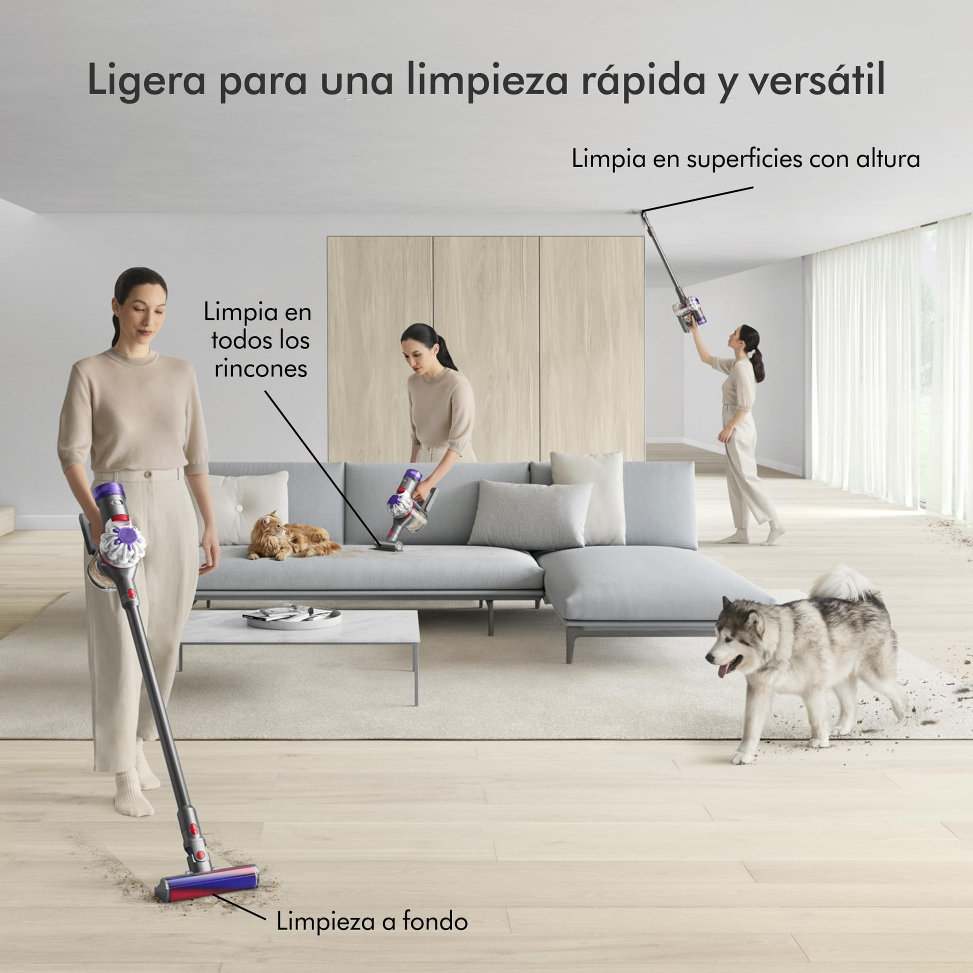 Aspiradora Dyson V8 Absolute Plata