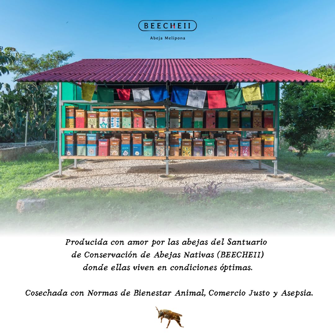 Beecheii Abeja Melipona Mascarilla Redensificante KOSHER Para Rostro, Cuello y Escote. Anti-Arrugas, Nutritiva Natural. Elaborada ética y sustentablemente, proveniente de un Santuario de abejas