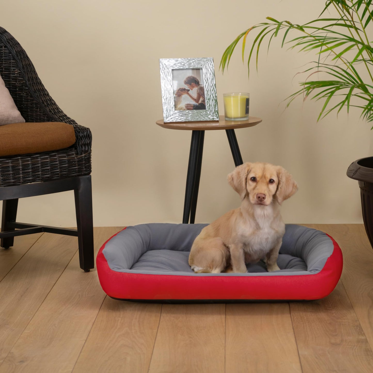 Cama para Perro PETS APPAREL HILLS Rojo Gris Resistente y Confortable con Relleno Suave