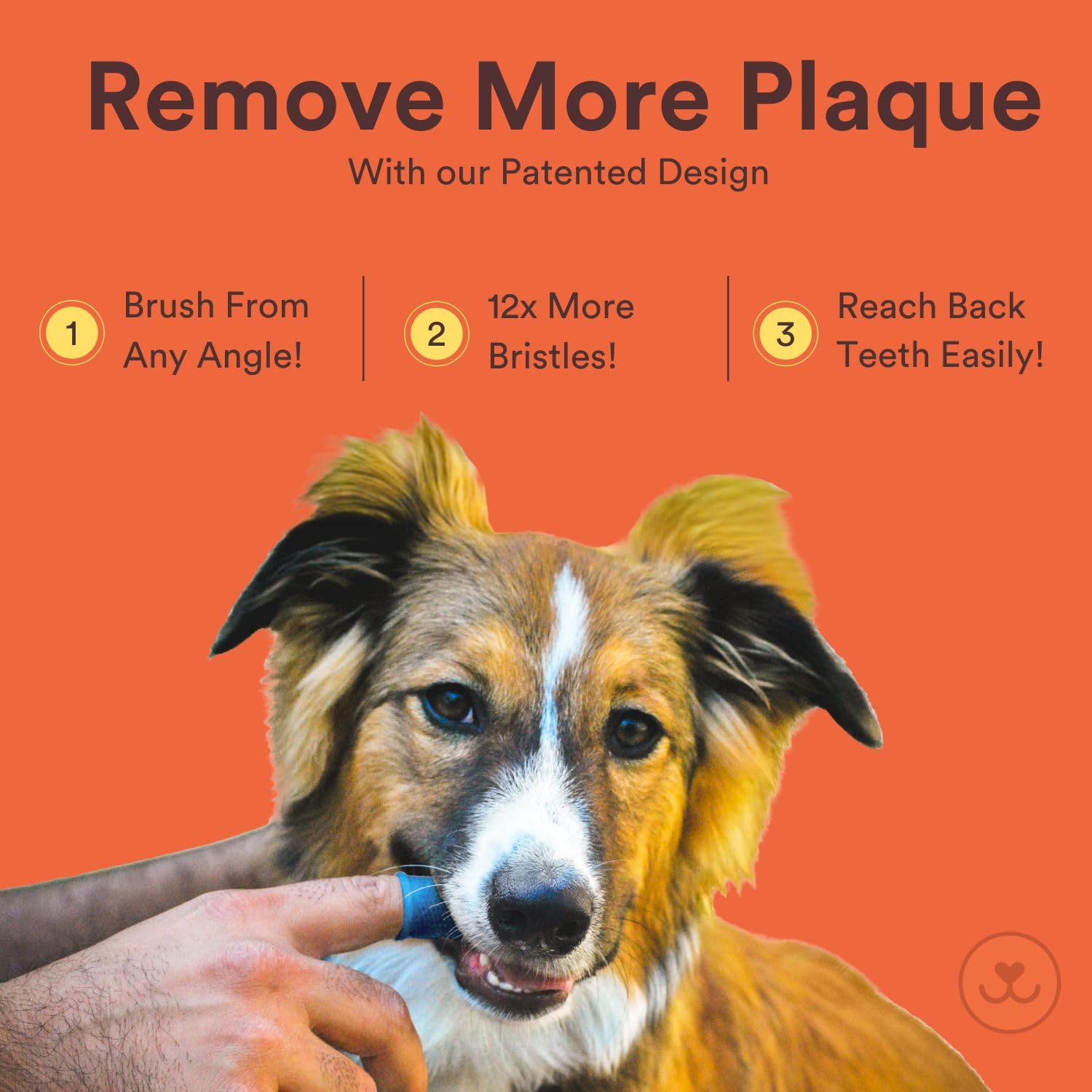 Cepillo de Dientes para Perros Toofers 360º Multicolor Diseño Ergonómico Juego de 4 Unidades