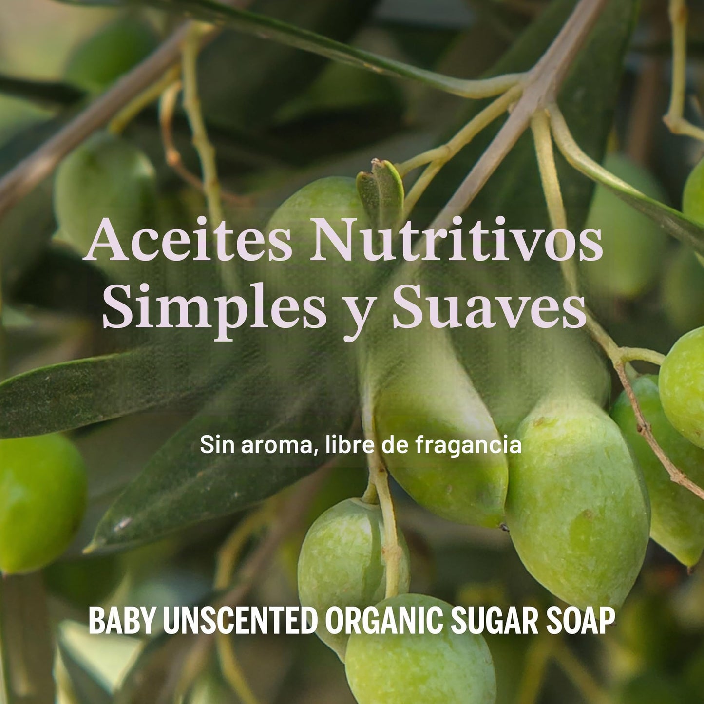Dr. Bronner's | Jabón líquido de azúcar orgánico, elaborado con aceites vegetales, Shikakai y azúcar, usos 4 en 1: manos, cuerpo, rostro y cabello; limpia, hidrata y nutre - Sin Aroma, 1.9 L