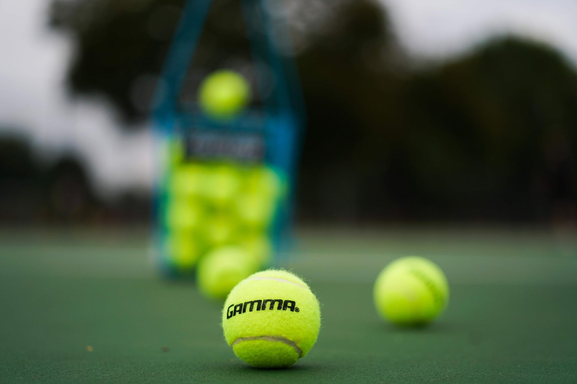 GAMMA Sports - Pelotas de Tenis sin presión con Malla para Pelotas de Tenis, Paquete de 10