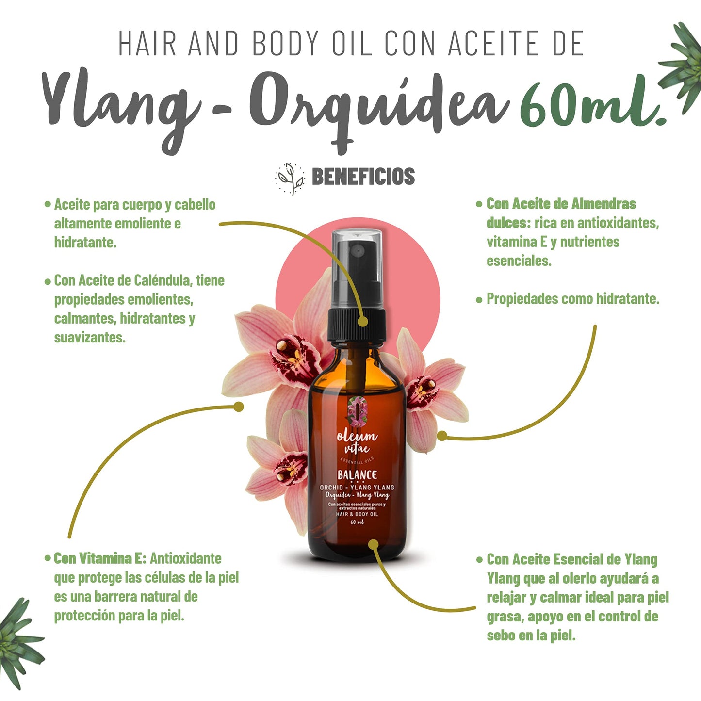 OLEUM VITAE Hair & Body Oil. Aceite Hidratante para Cabello y Cuerpo Orquídea-Ylang Ylang. Con Aceite Esencial de Ylang Ylang. 60ml