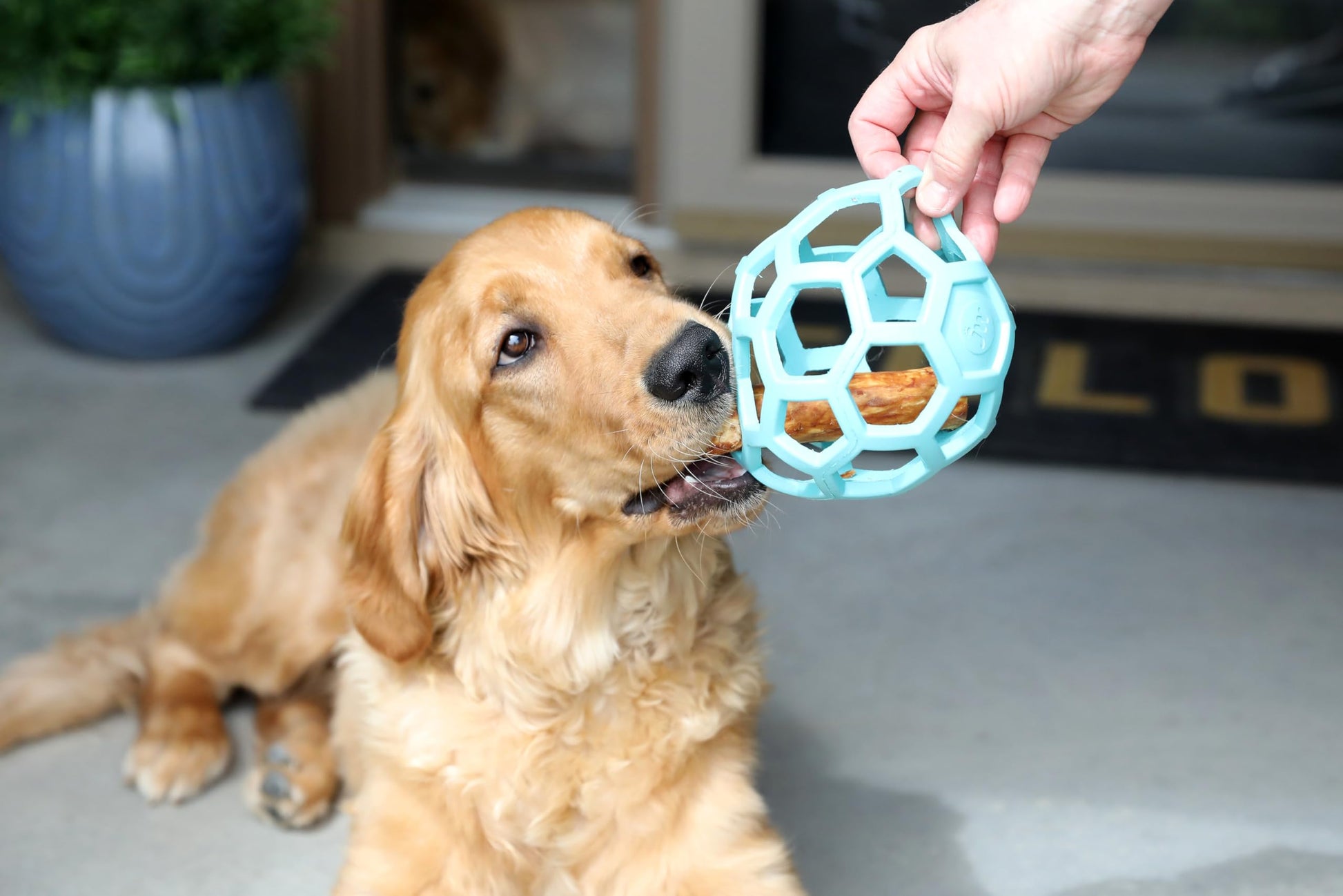 Juguete Bola de Rompecabezas JW Pet Azul Hule Natural Grande para Perro